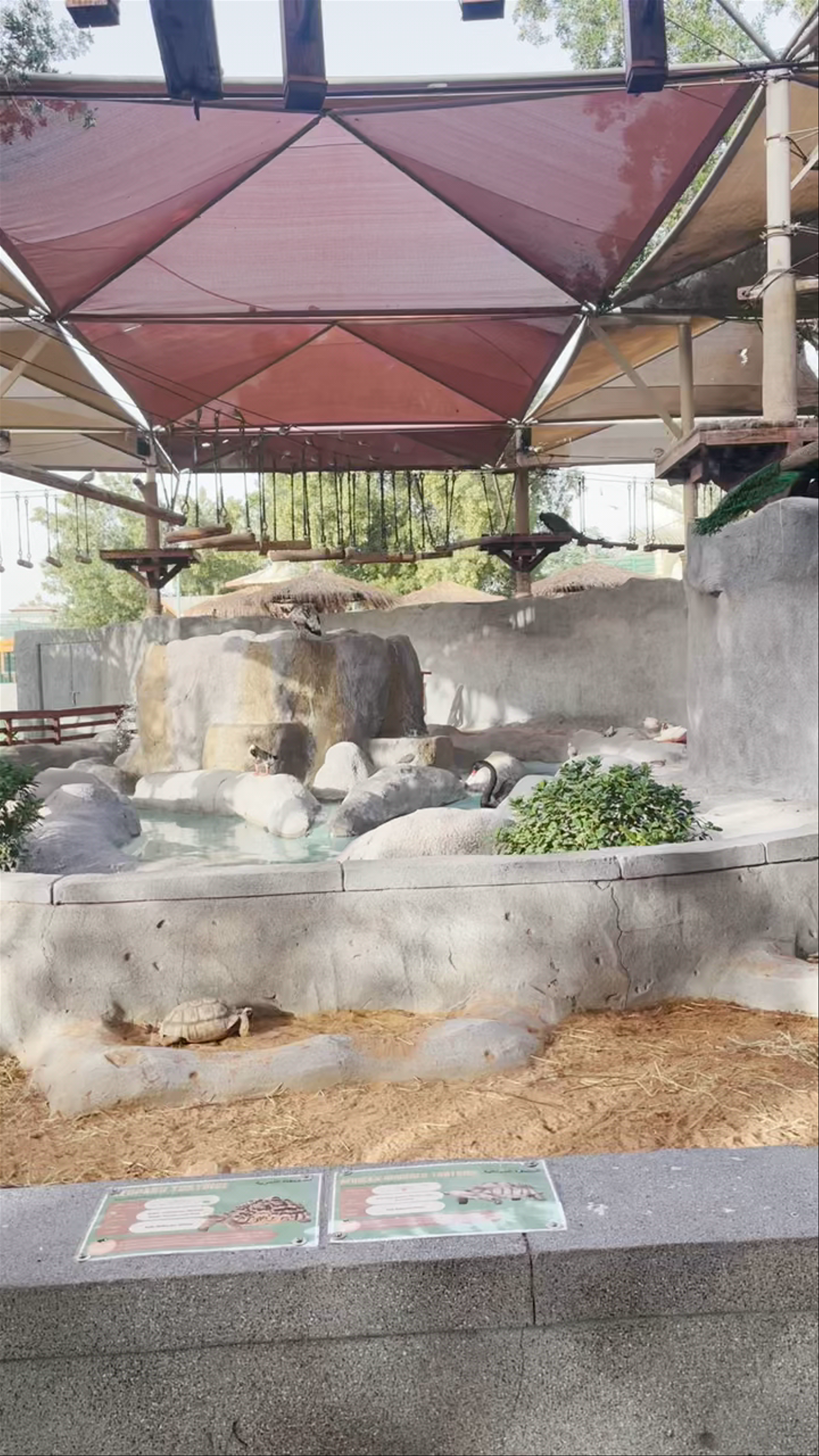 Zoo - 12th Street - Abu Dhabi - United Arab Emirates