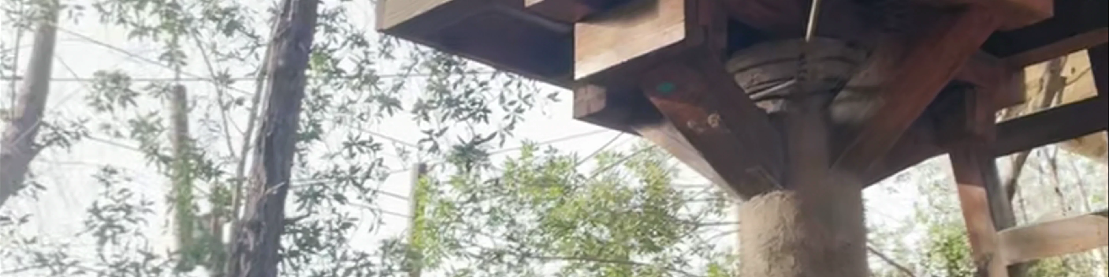 Zoo - 12th Street - Abu Dhabi - United Arab Emirates