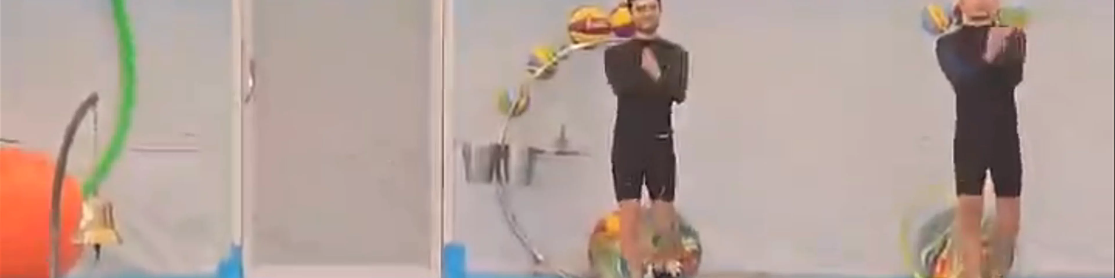 Dolphin Show