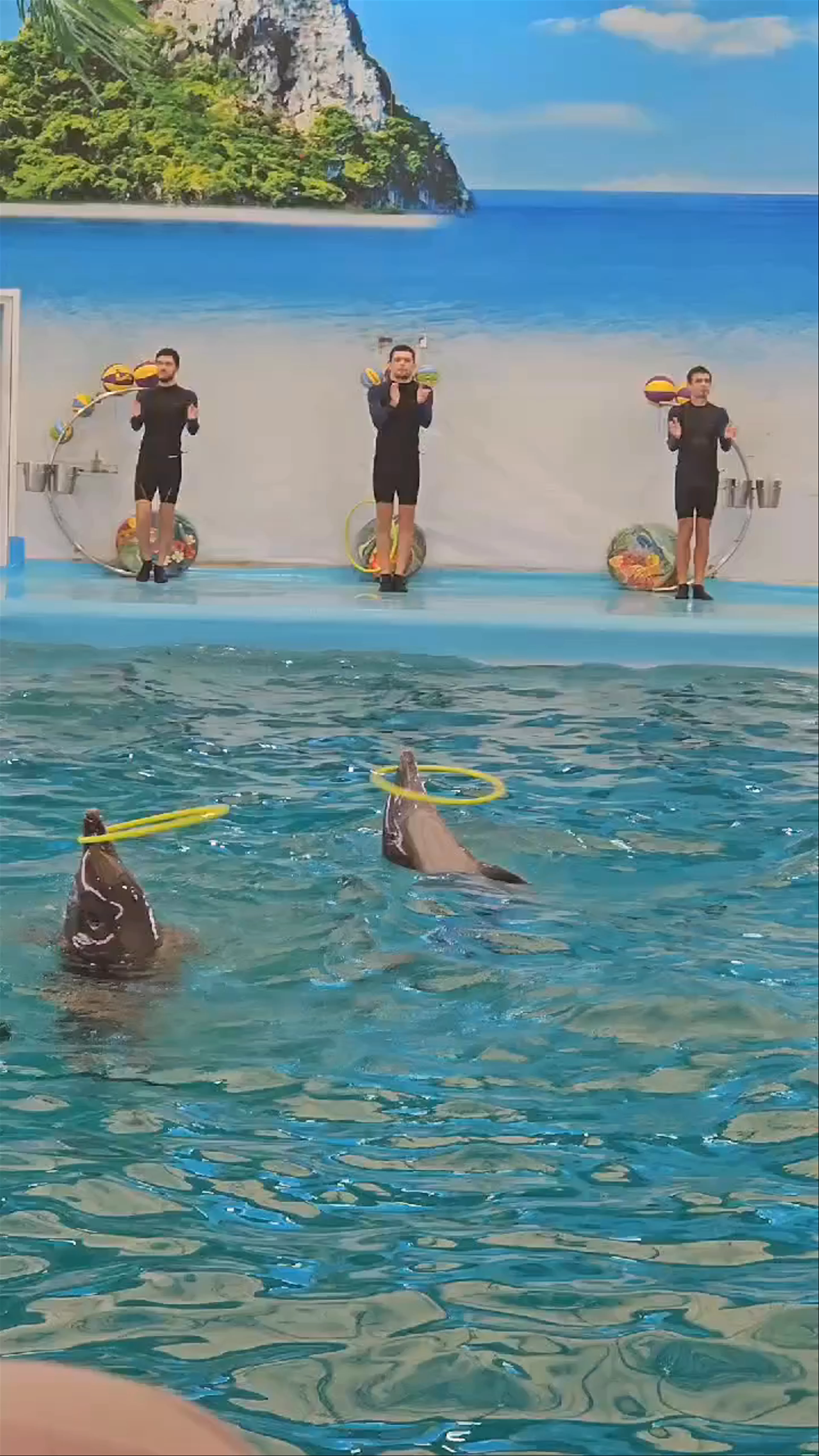 Dolphin Show, Sam Wa Tawan Tok