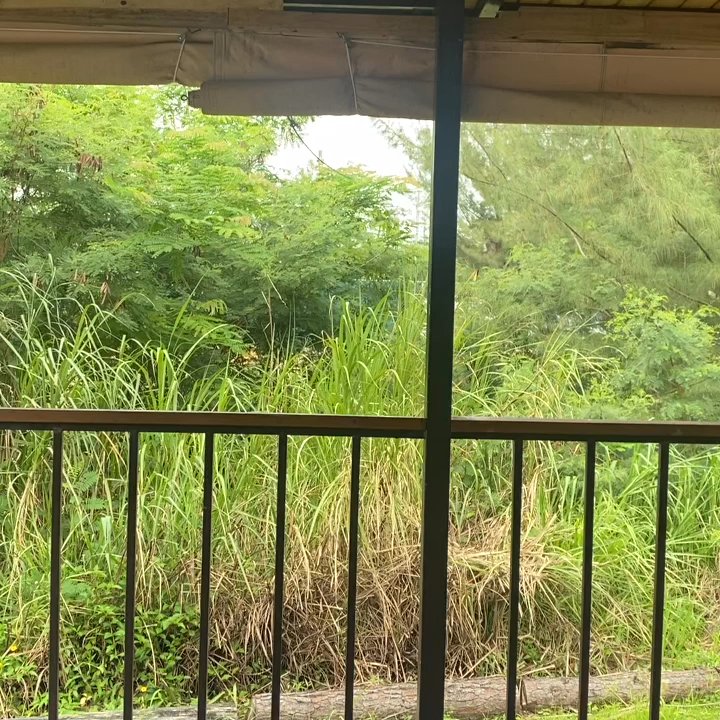 Lula's - Outdoor dining, futbol, hamburgers & huge mojitos! - Burgers Near Me - Dorado, Puerto Rico