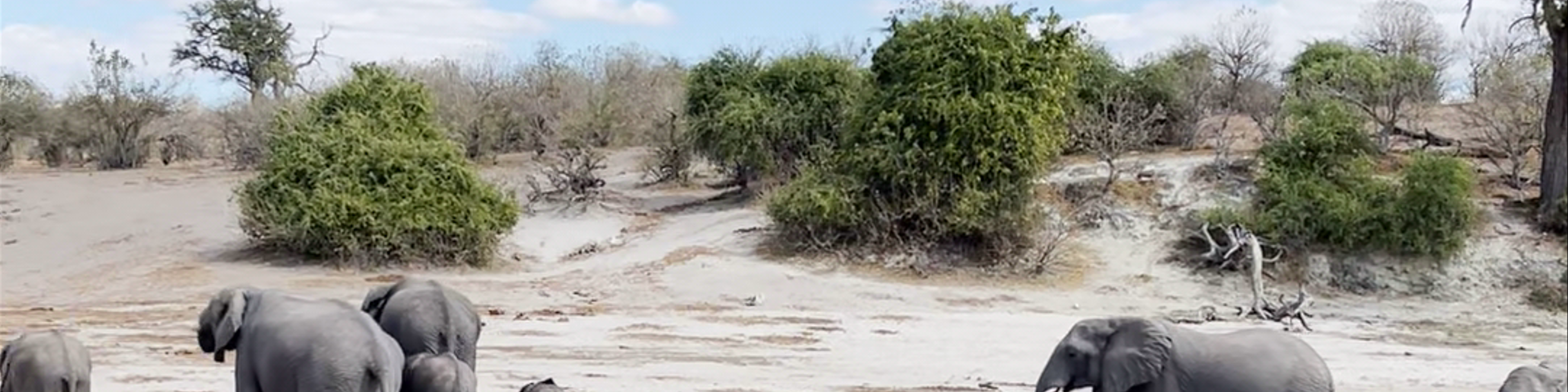 Zambezi