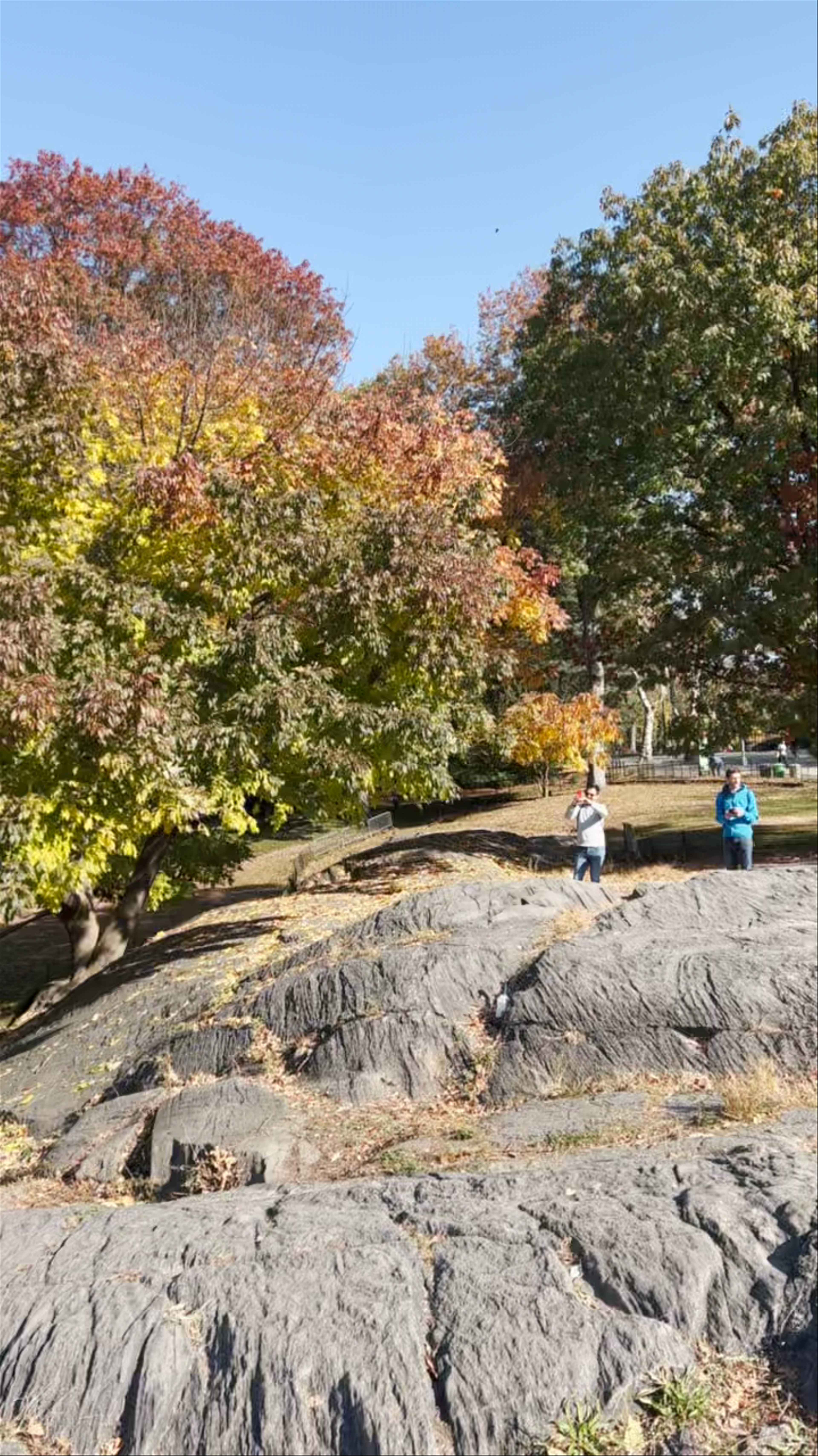 Central Park South