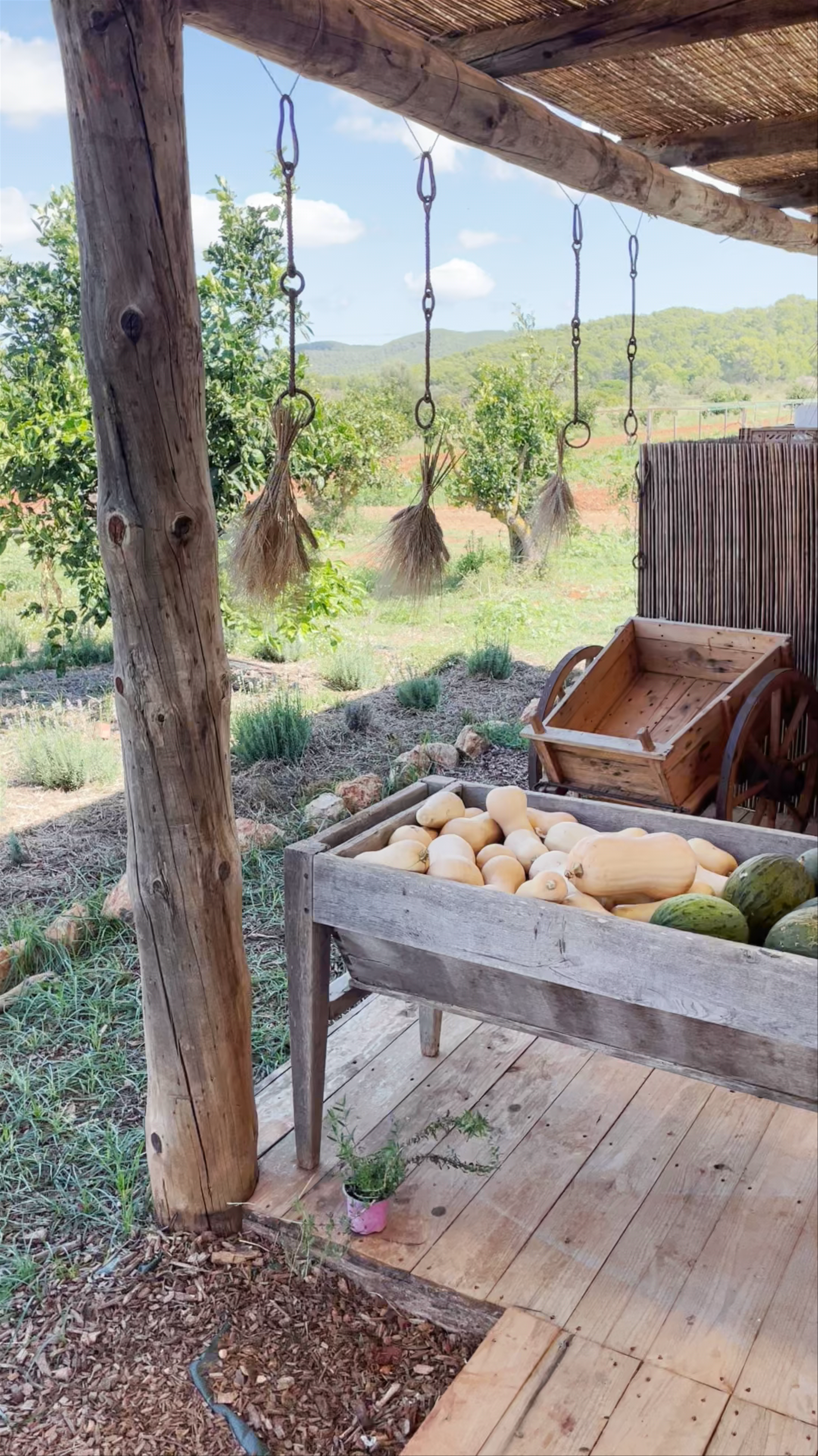 Terra Masia: Rustic Organic Market Experience in Santa Eulària des Riu, Spain
