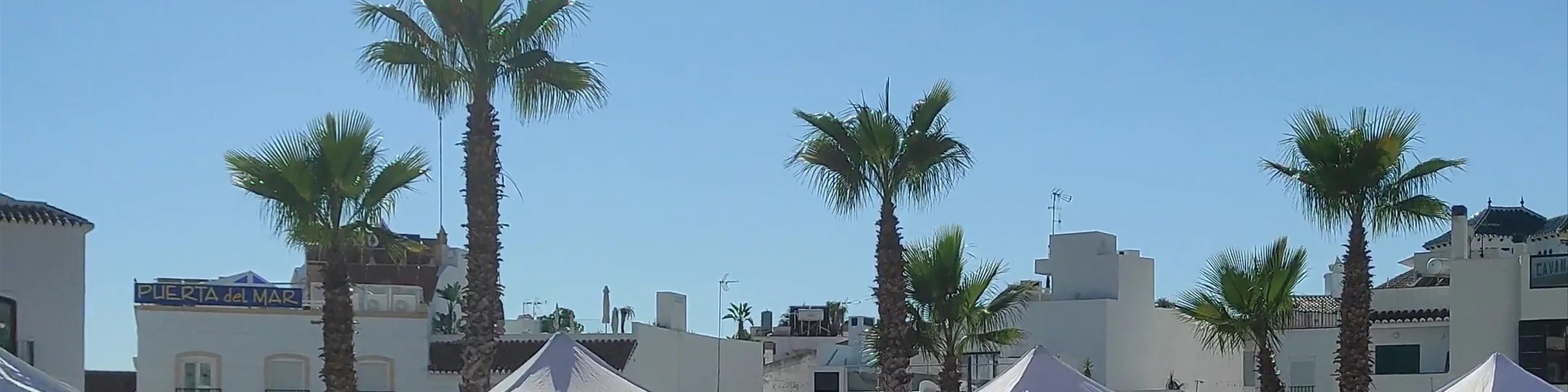 Market Nerja
