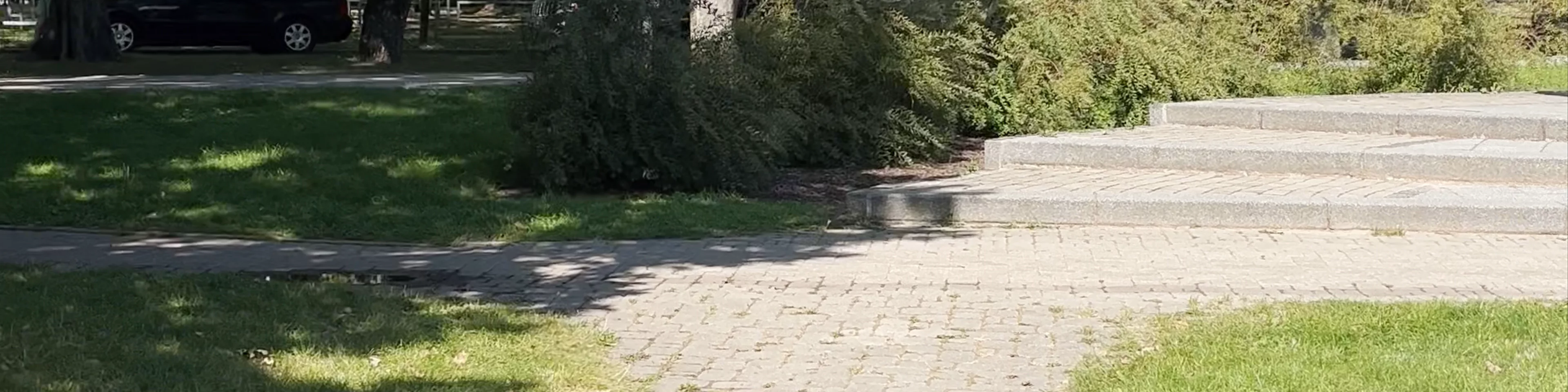 Dubrovin Park