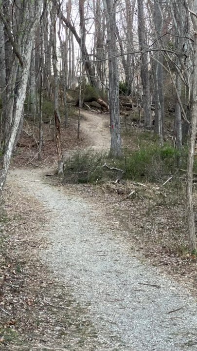 Claytor Lake State Park - Wildlife!! - Parks Near Me - Dublin, Virginia