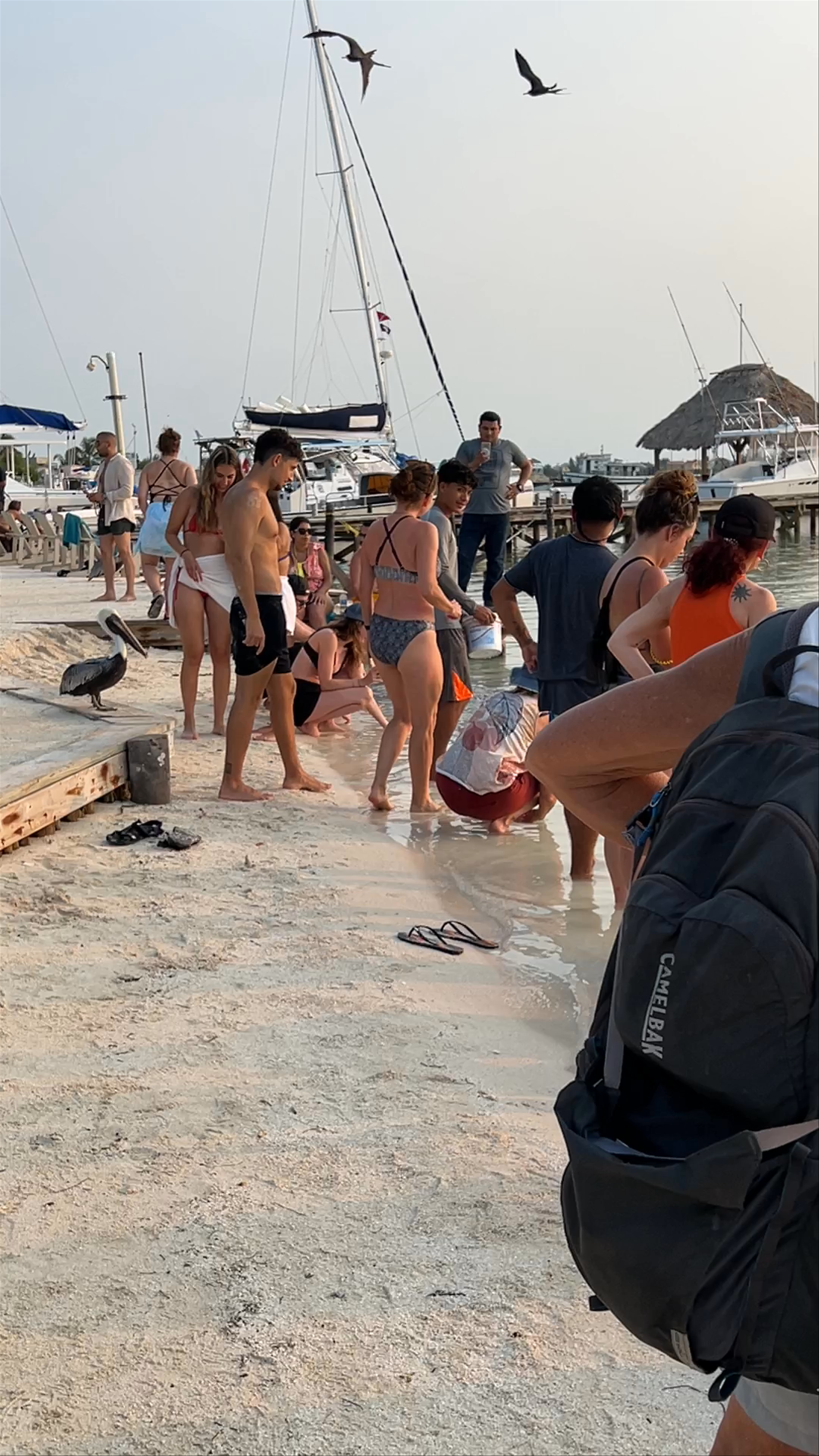 The Pelican Sunset Bar