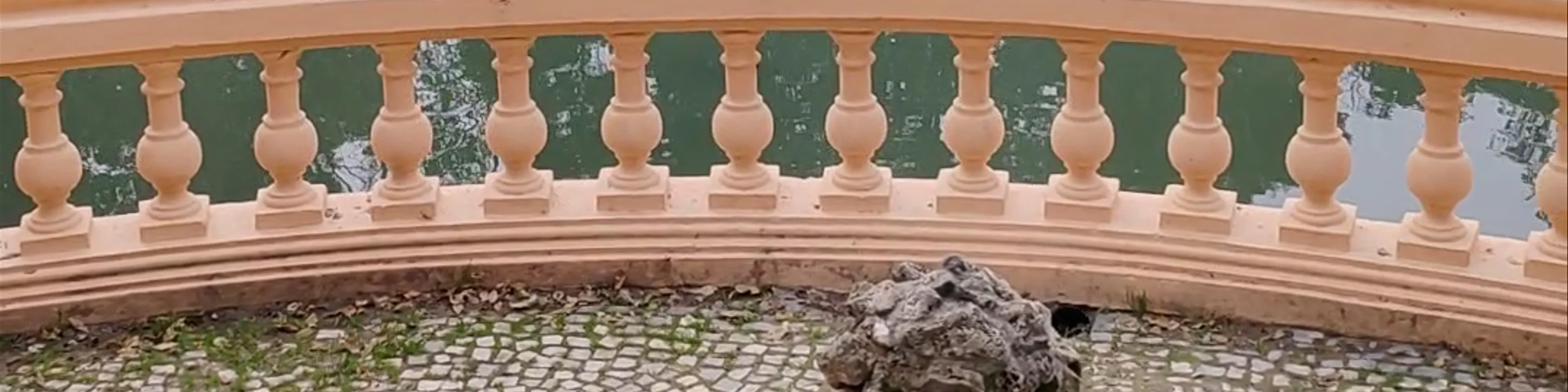 Parque da Macaca