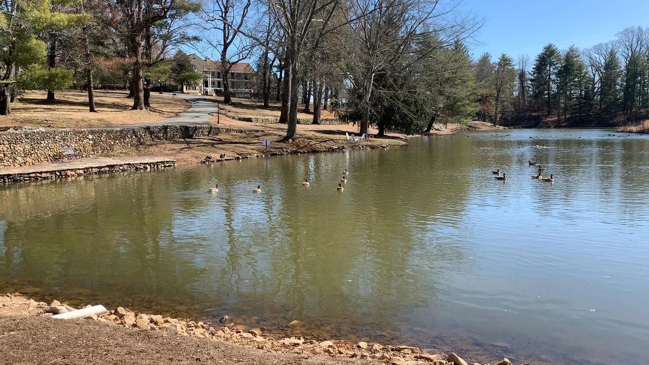 Harry's - View from my table - New American Near Me - Warrenton, Virginia