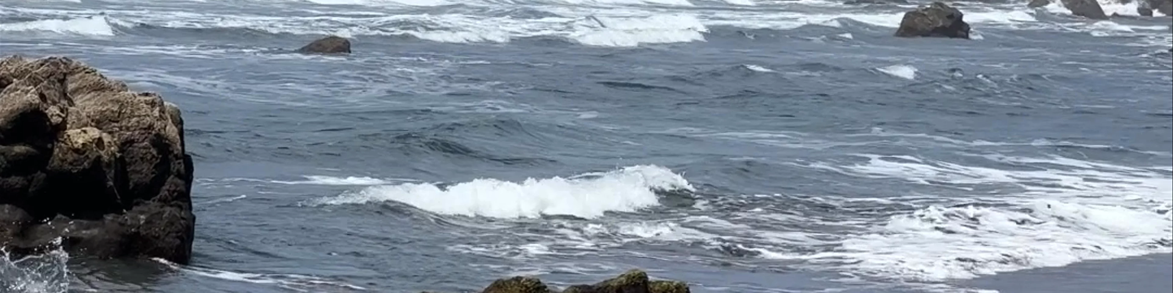 Playa de Benijo