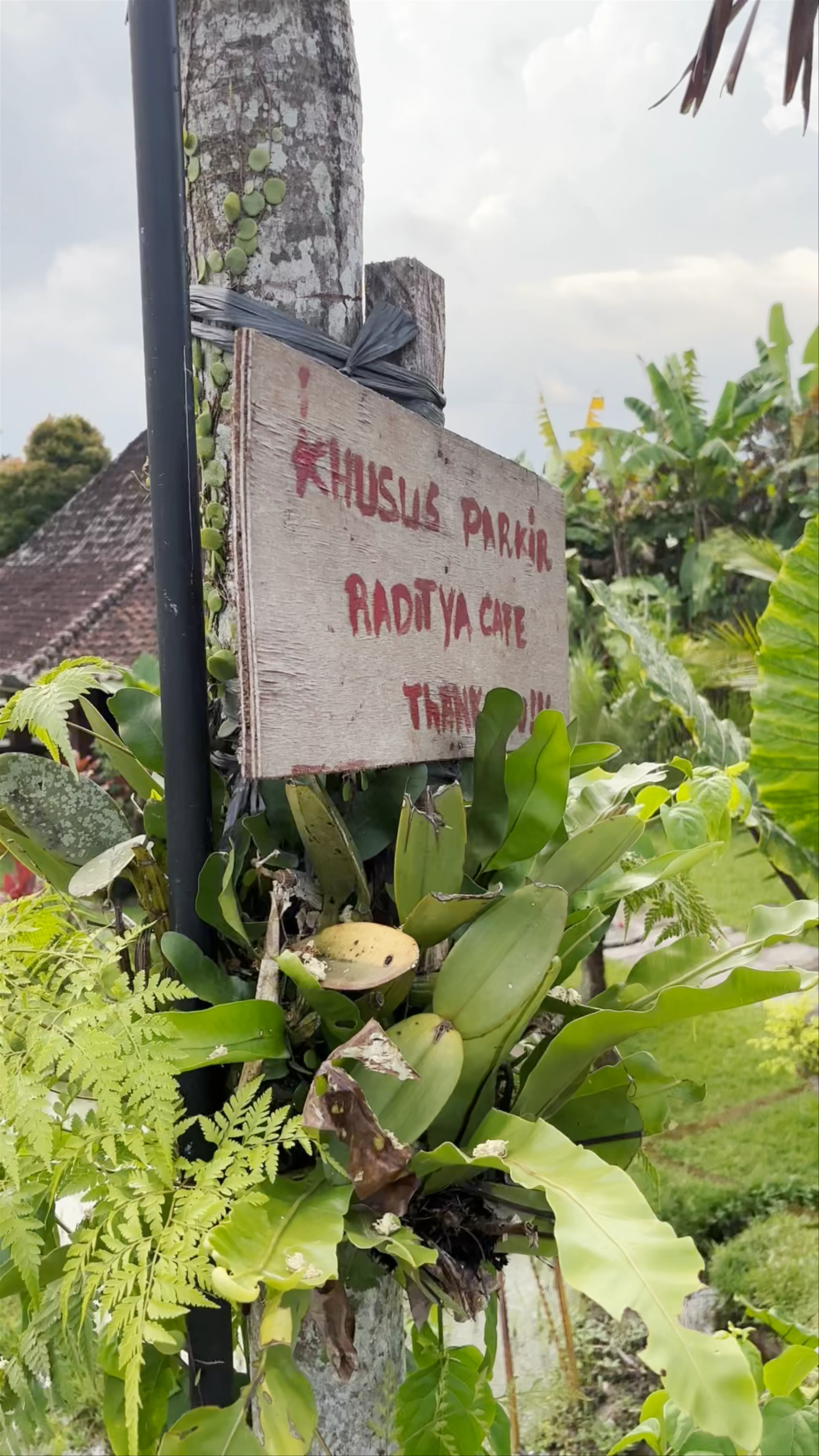 Inició ruta el Pico, Jalan Bangkiang Sidem, Keliki, Gianyar Regency