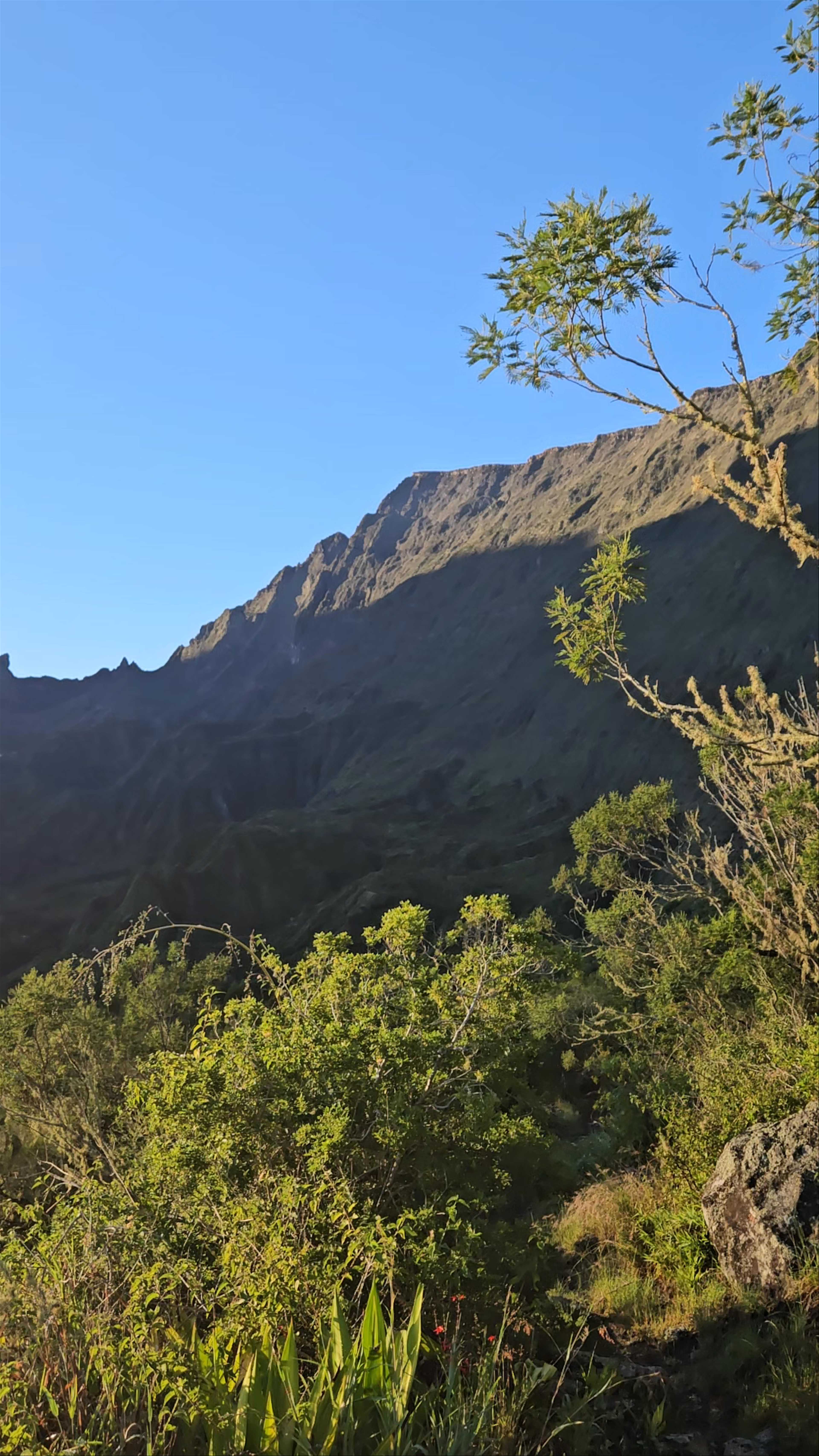 Village de Roche Plate