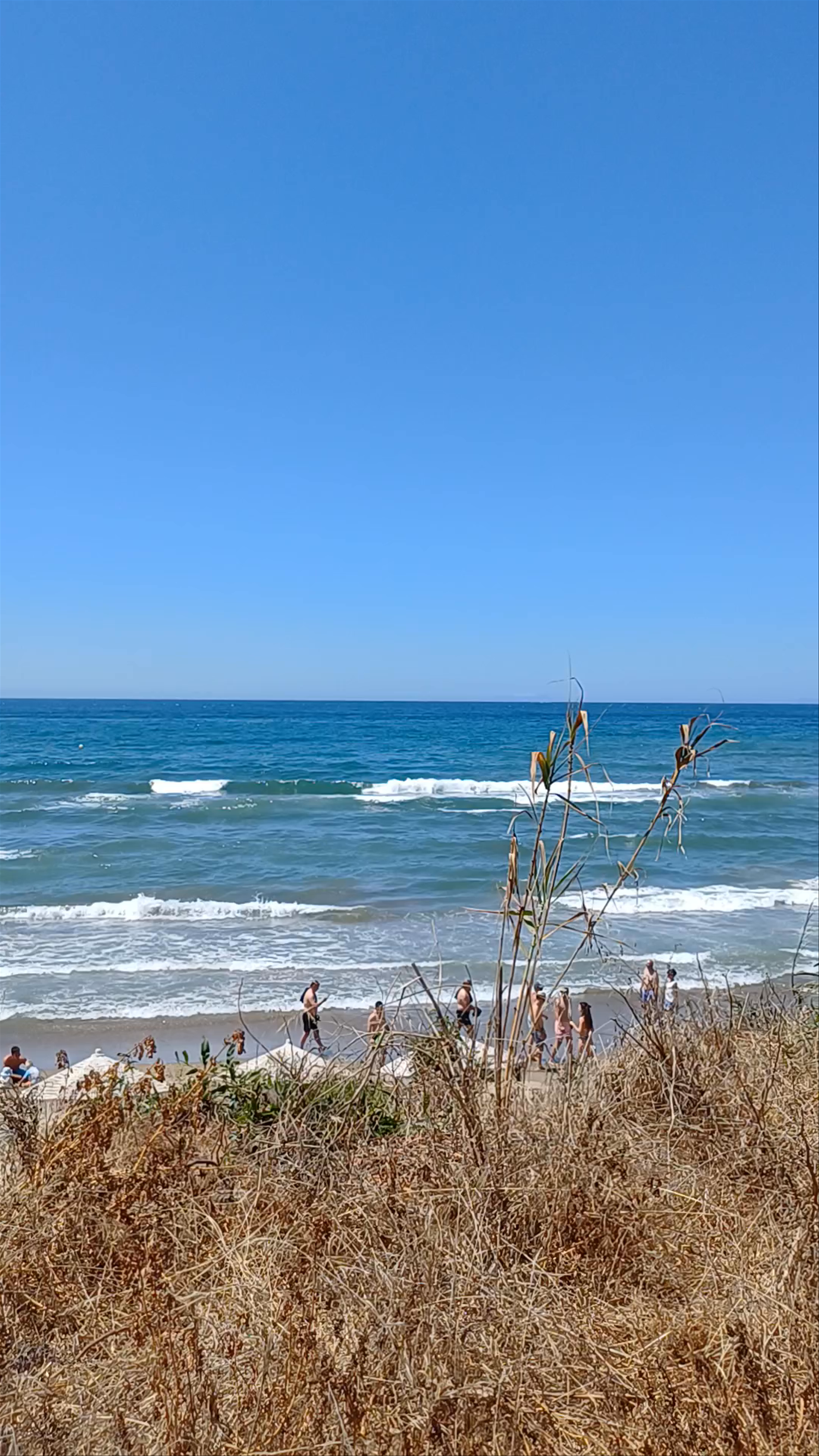 Playa de la Víbora