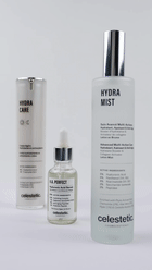 H.A. Perfect  - aperçu