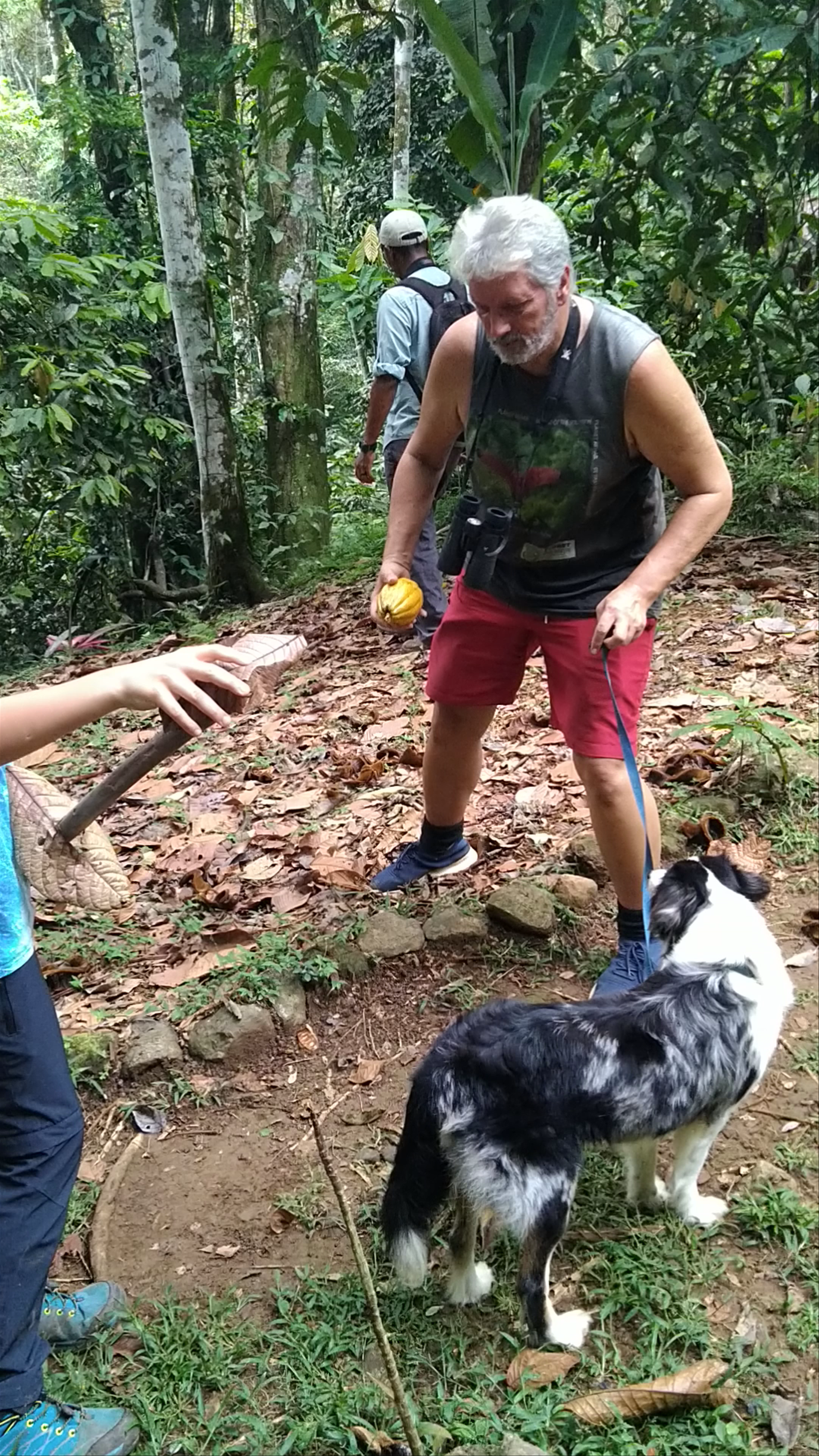 Green Acres Chocolate Farm