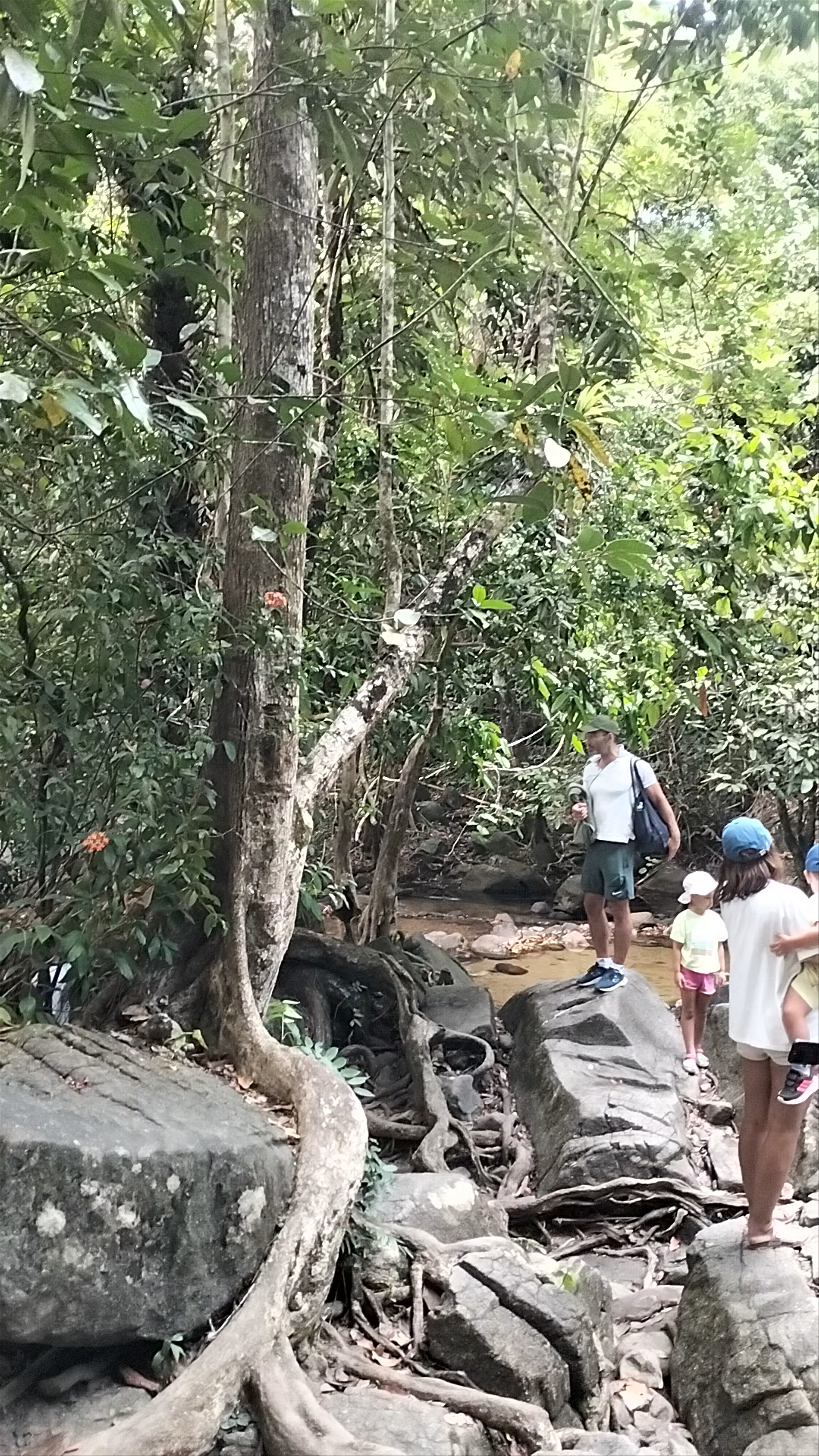 Ton Pling Waterfall: A Hidden Jungle Oasis in Phang Nga, Thailand