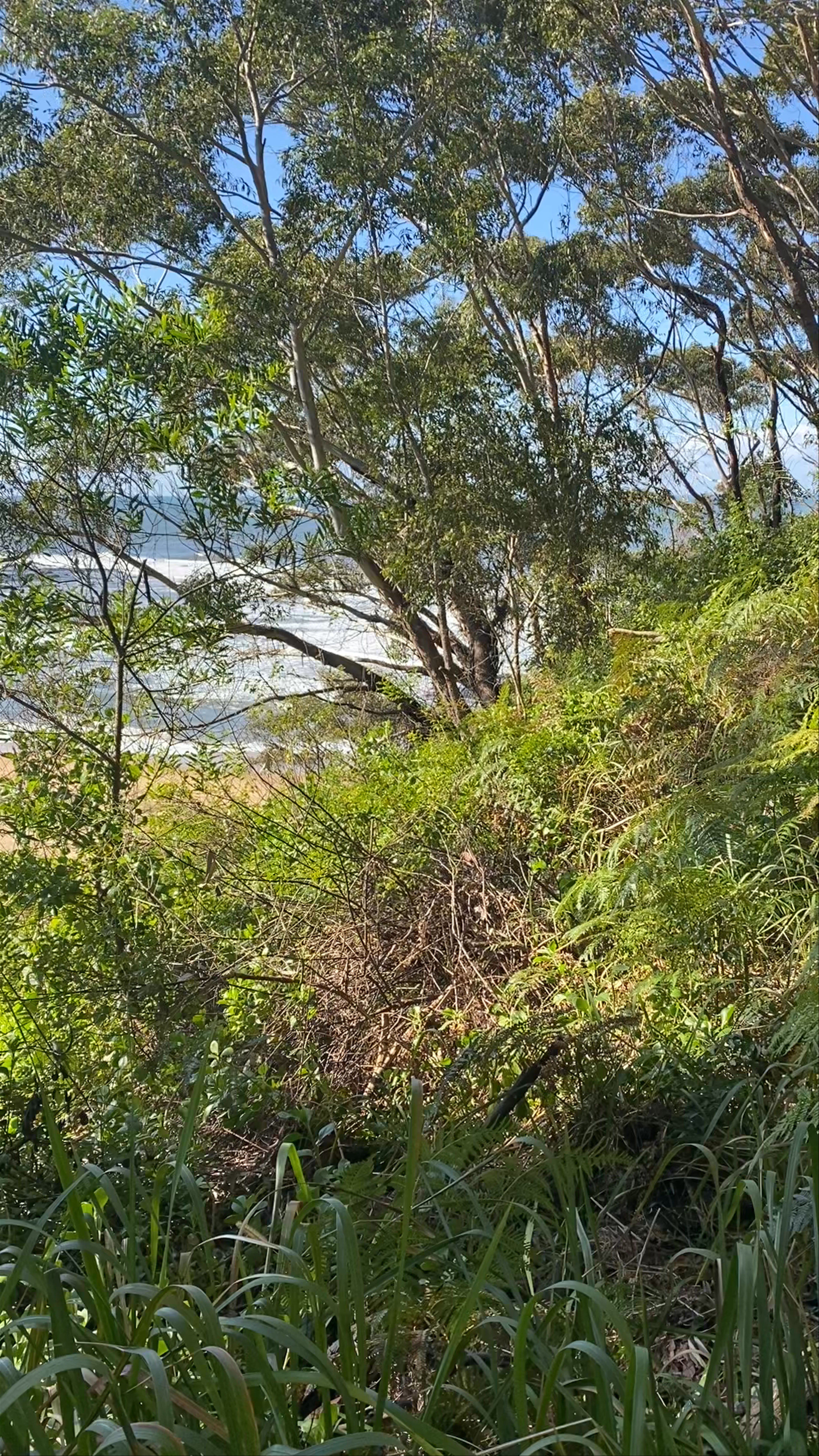 Bateau Bay Beach