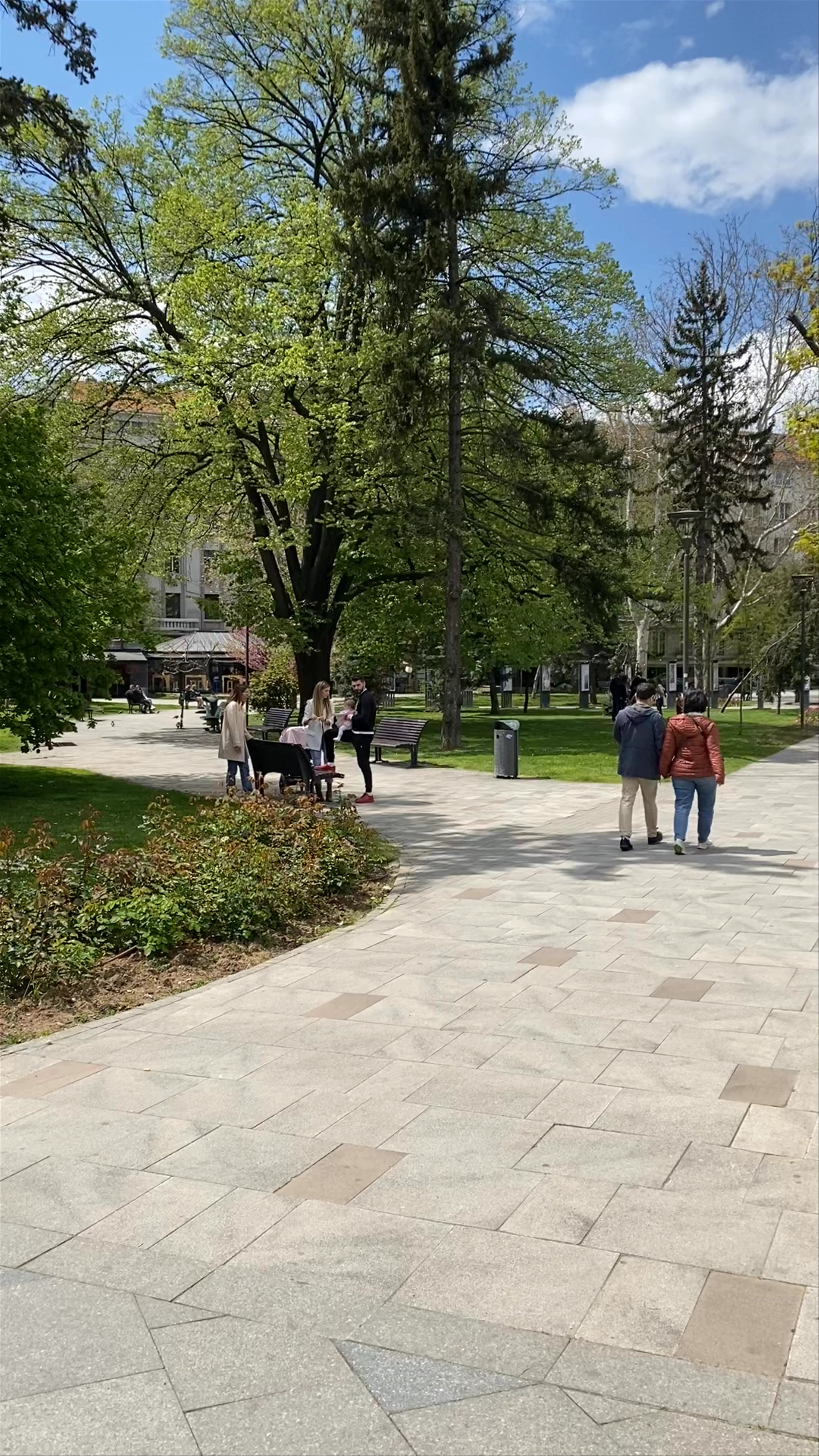 The City Garden