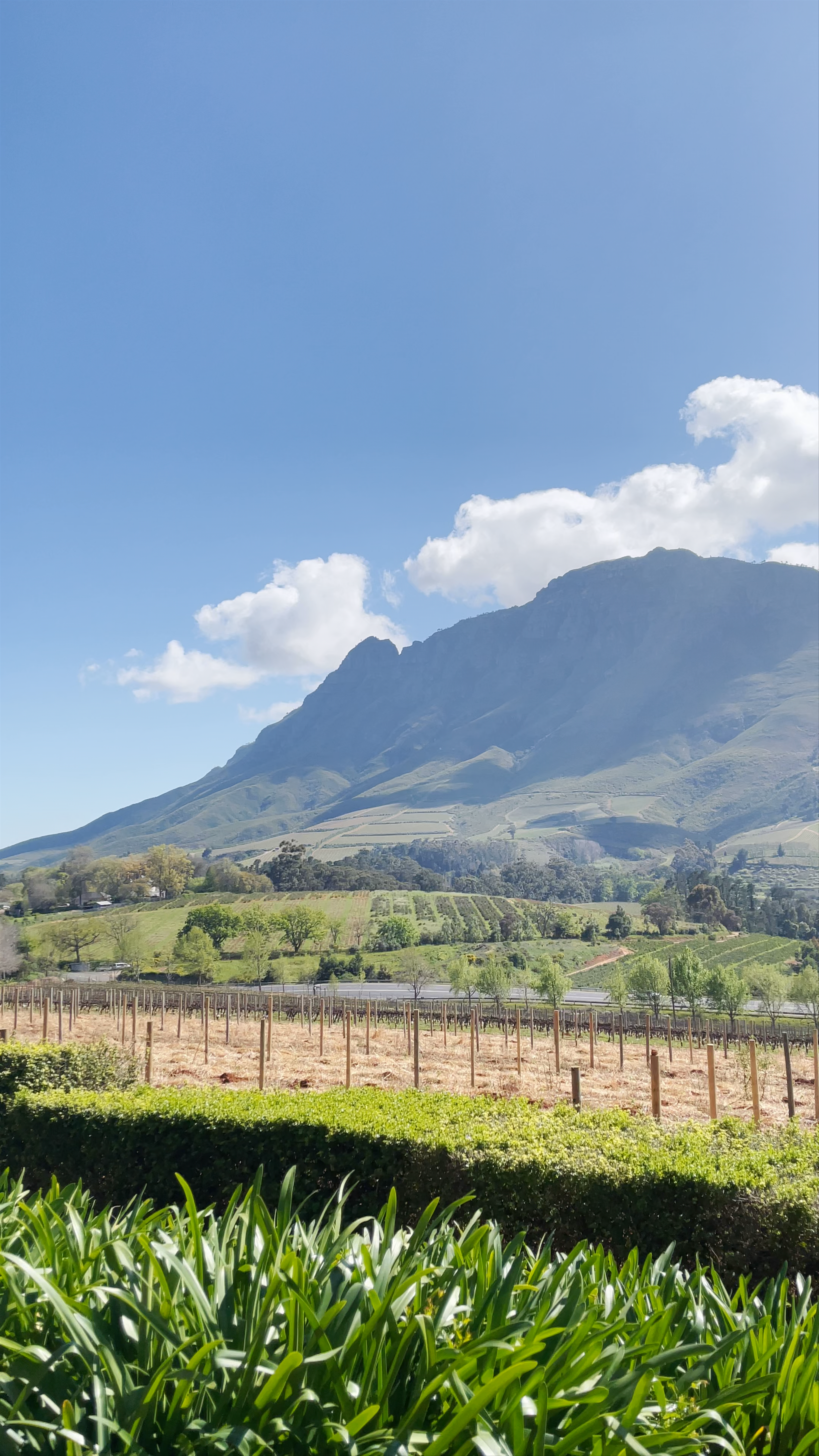 Delaire Graff Estate