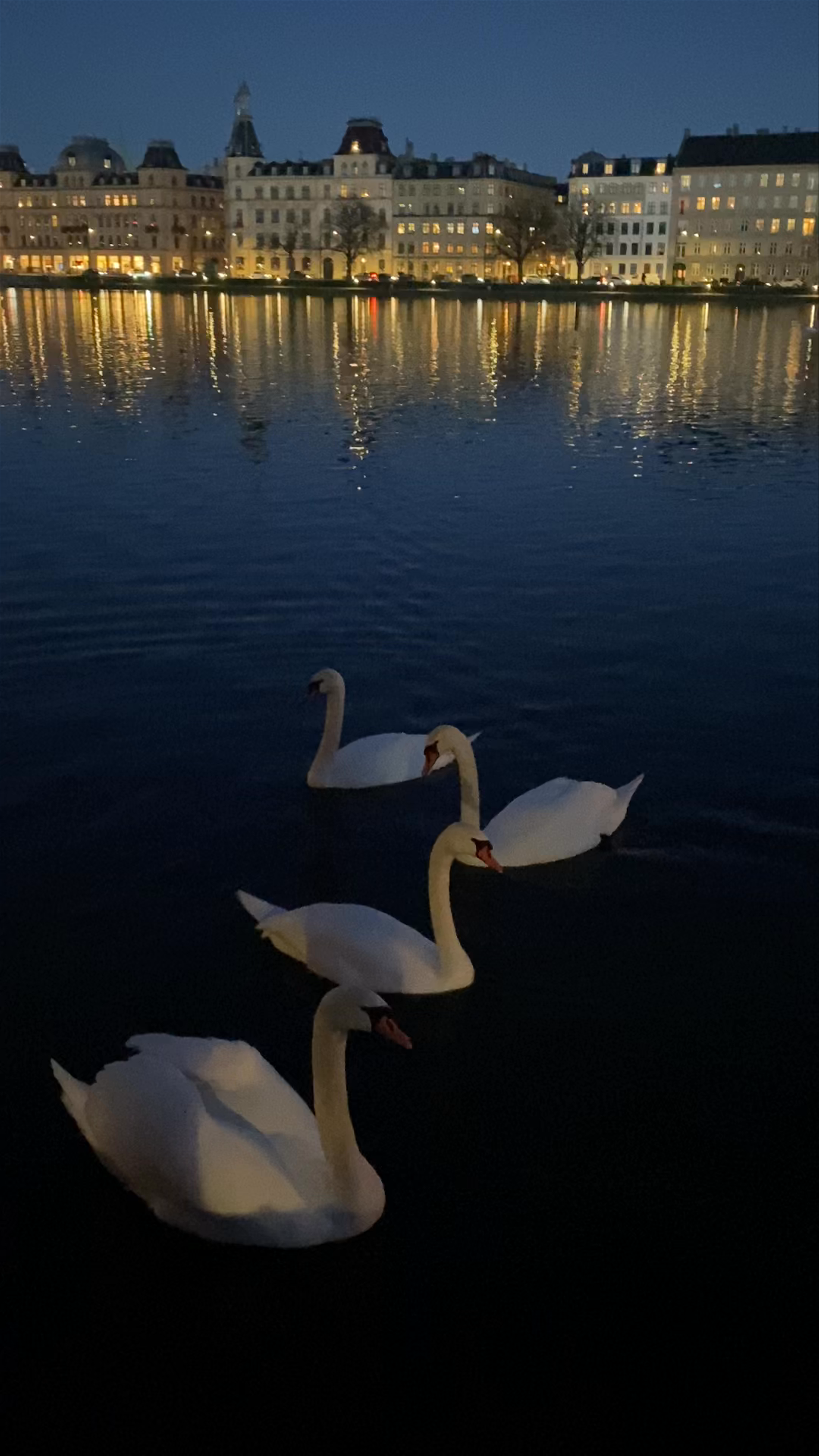 The Lakes in Copenhagen