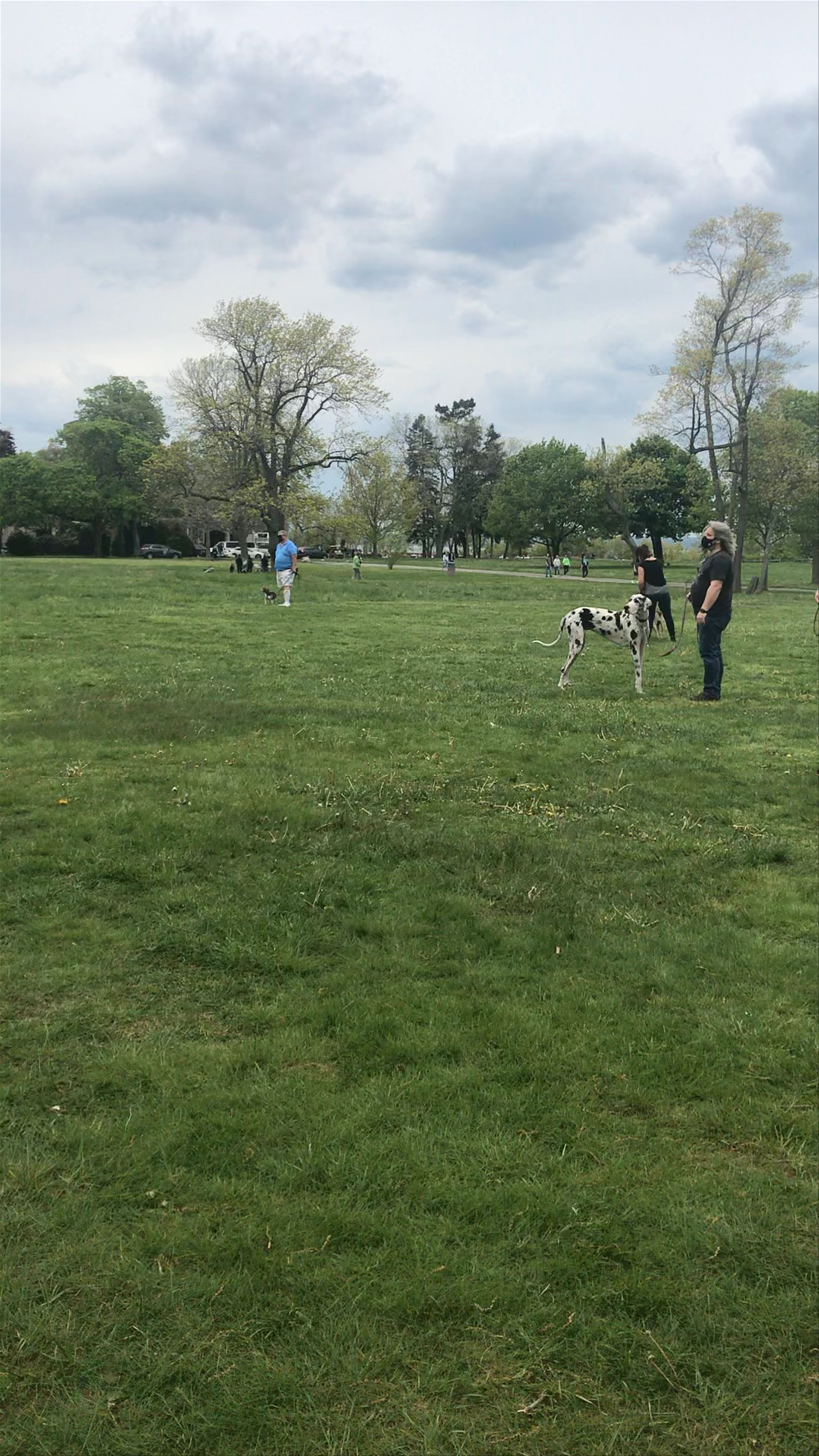 Dog Playtime at Sands Point Park and Preserve
