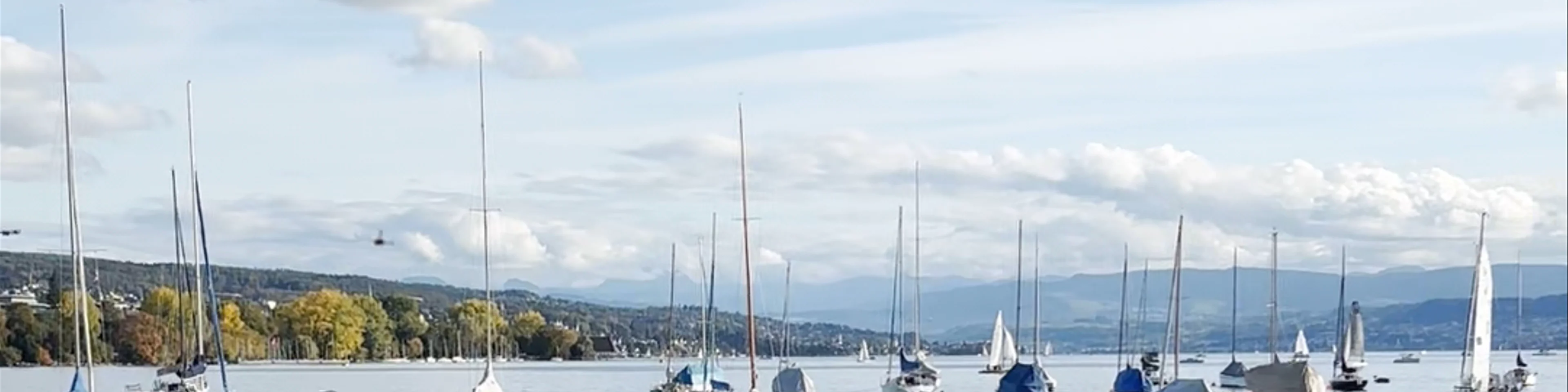 Lake Zurich