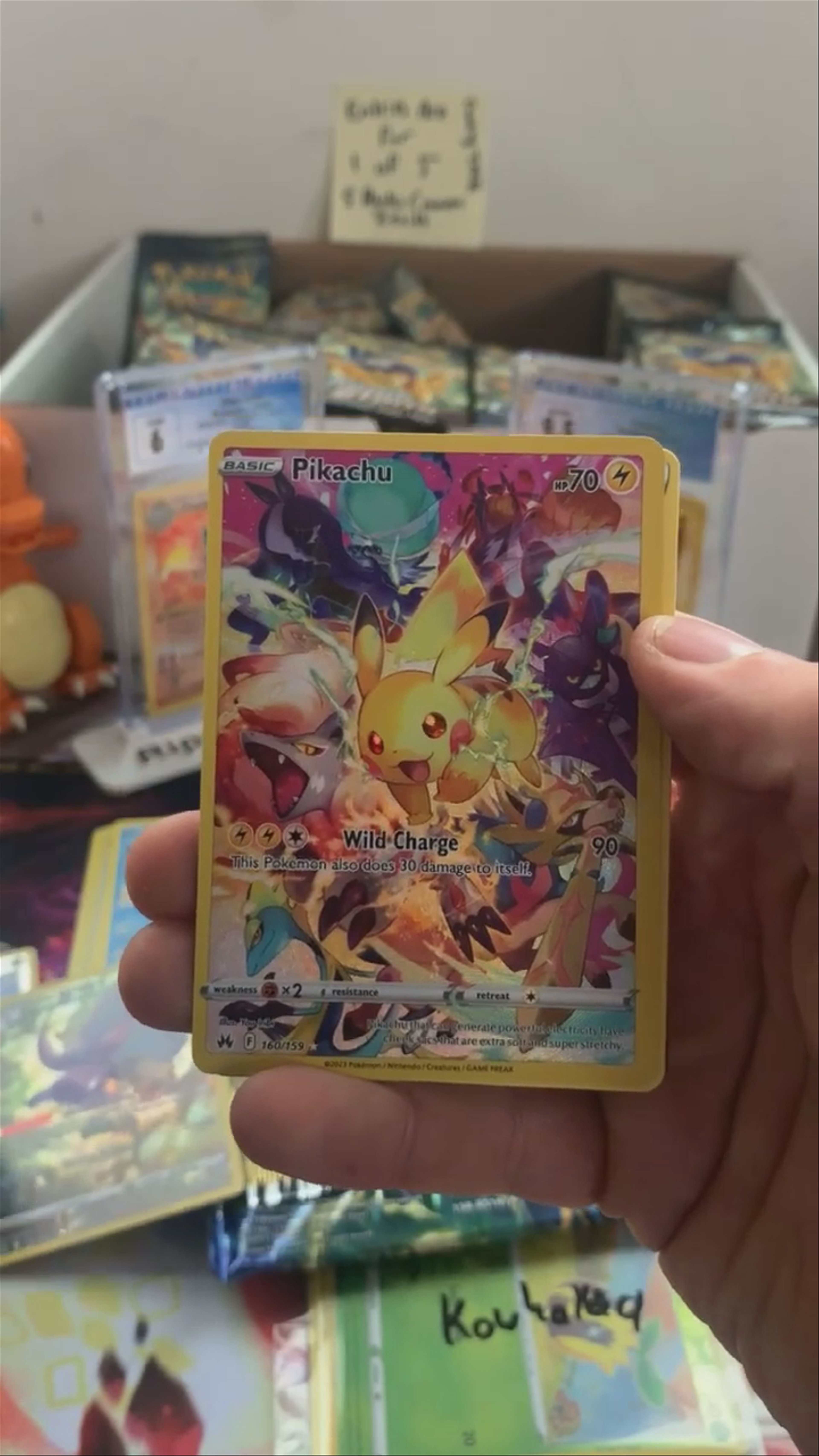 SR Pika for Koala! 
