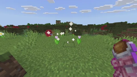 Pink Xp – image 1