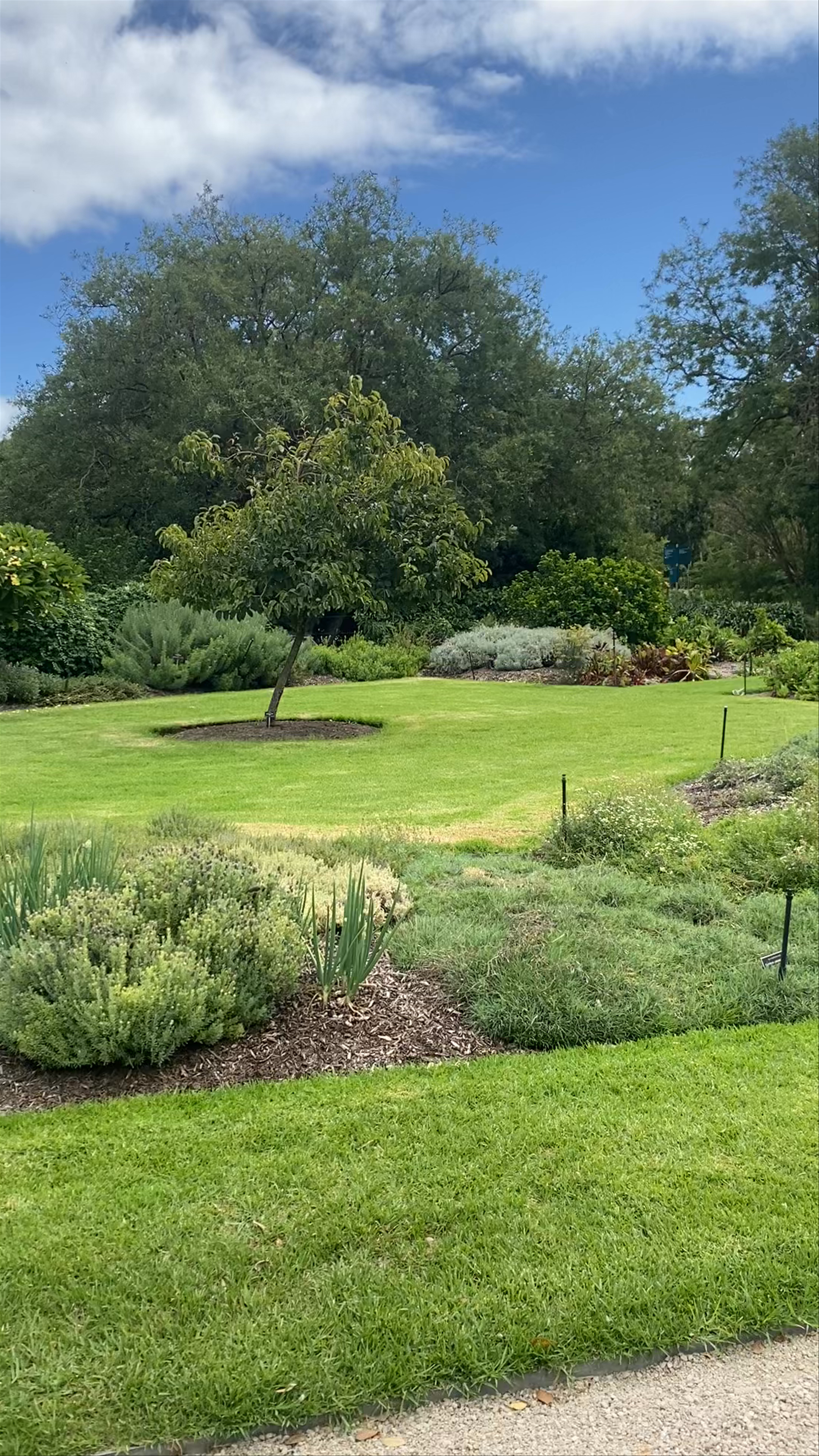 Adelaide Botanic Garden