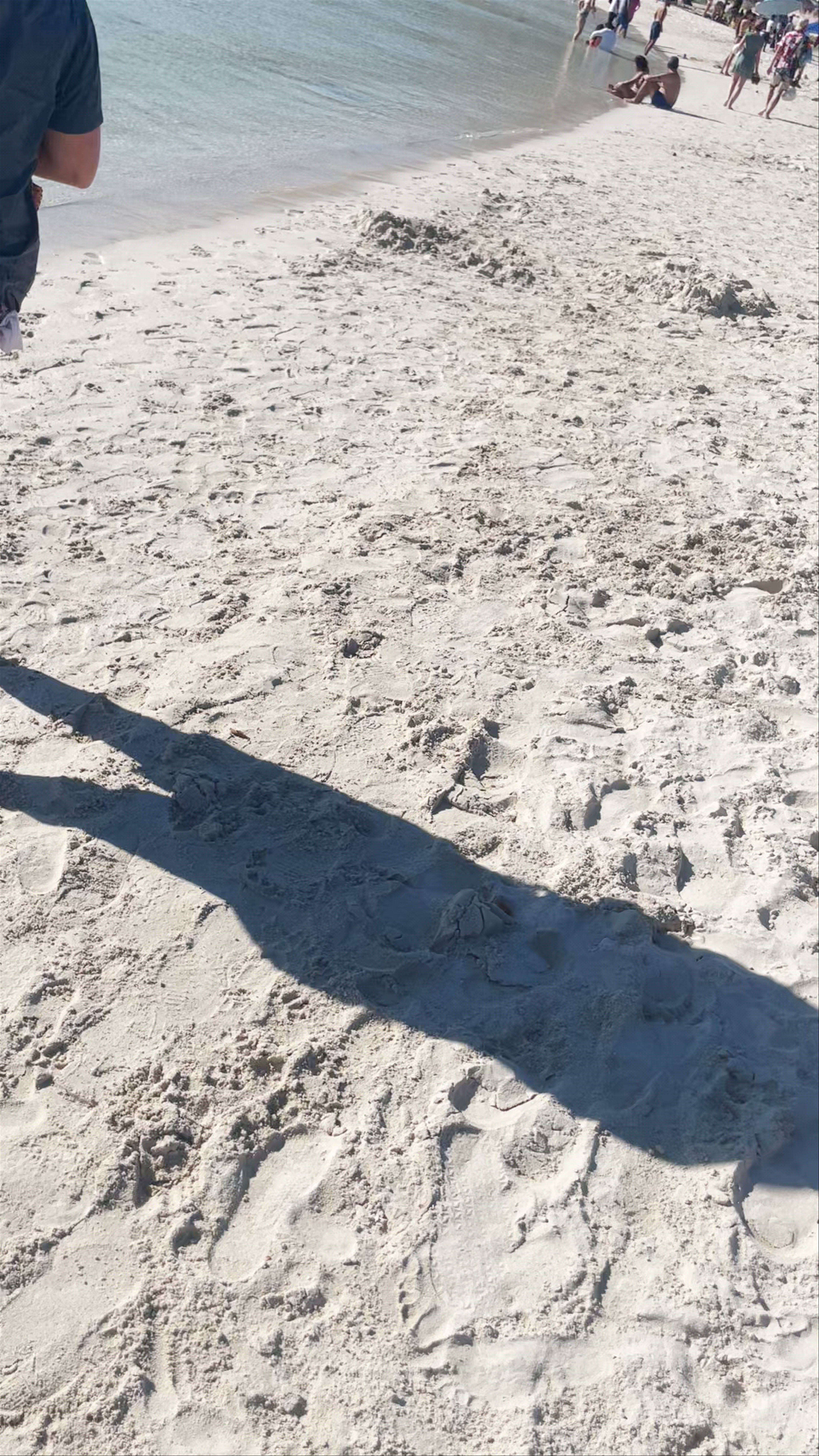 Playa Balandra: Serene Coastal Escape in La Paz, Mexico