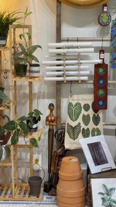 Lamiaa Botanicals - Nurseries & Gardening Near Me - Saint Louis, Missouri