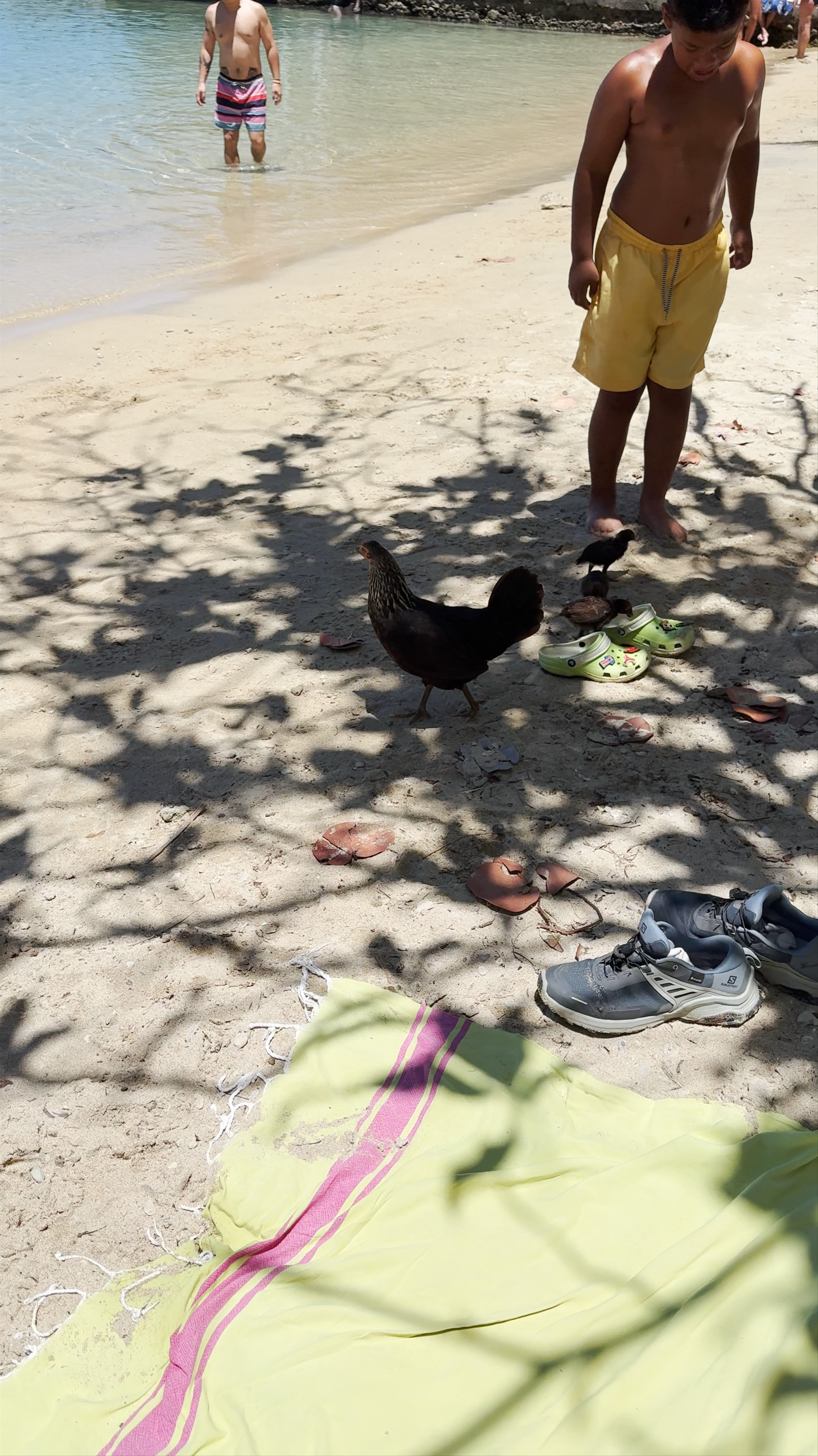 Plage du Pain-de-Sucre