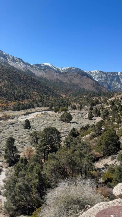 Mt. Charleston - Mt Charleston - Hiking Near Me - Las Vegas, Nevada