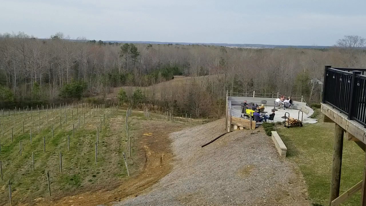 Saudé Creek Vineyards - Their wine tasting room sits on the highest elevation in the entire county. - Wineries Near Me - Lanexa, Virginia