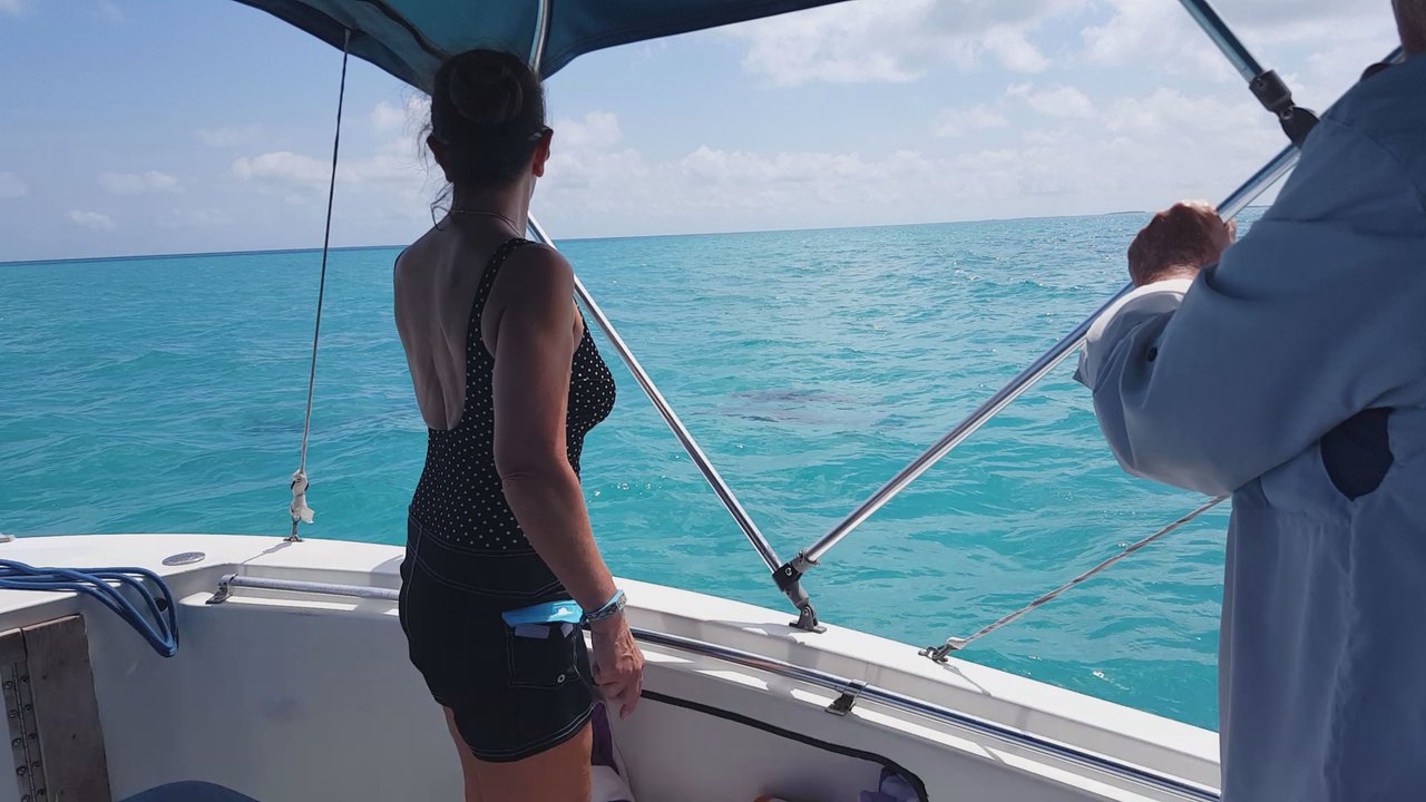 Dancing Dolphin Spirits Charters - Tours Near Me - Key West, Florida
