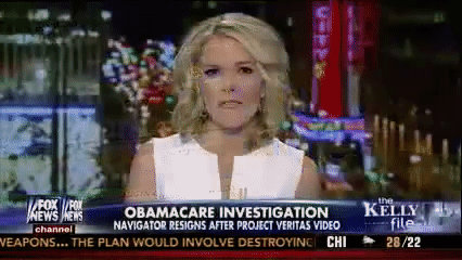 Video Thumbnail Loop