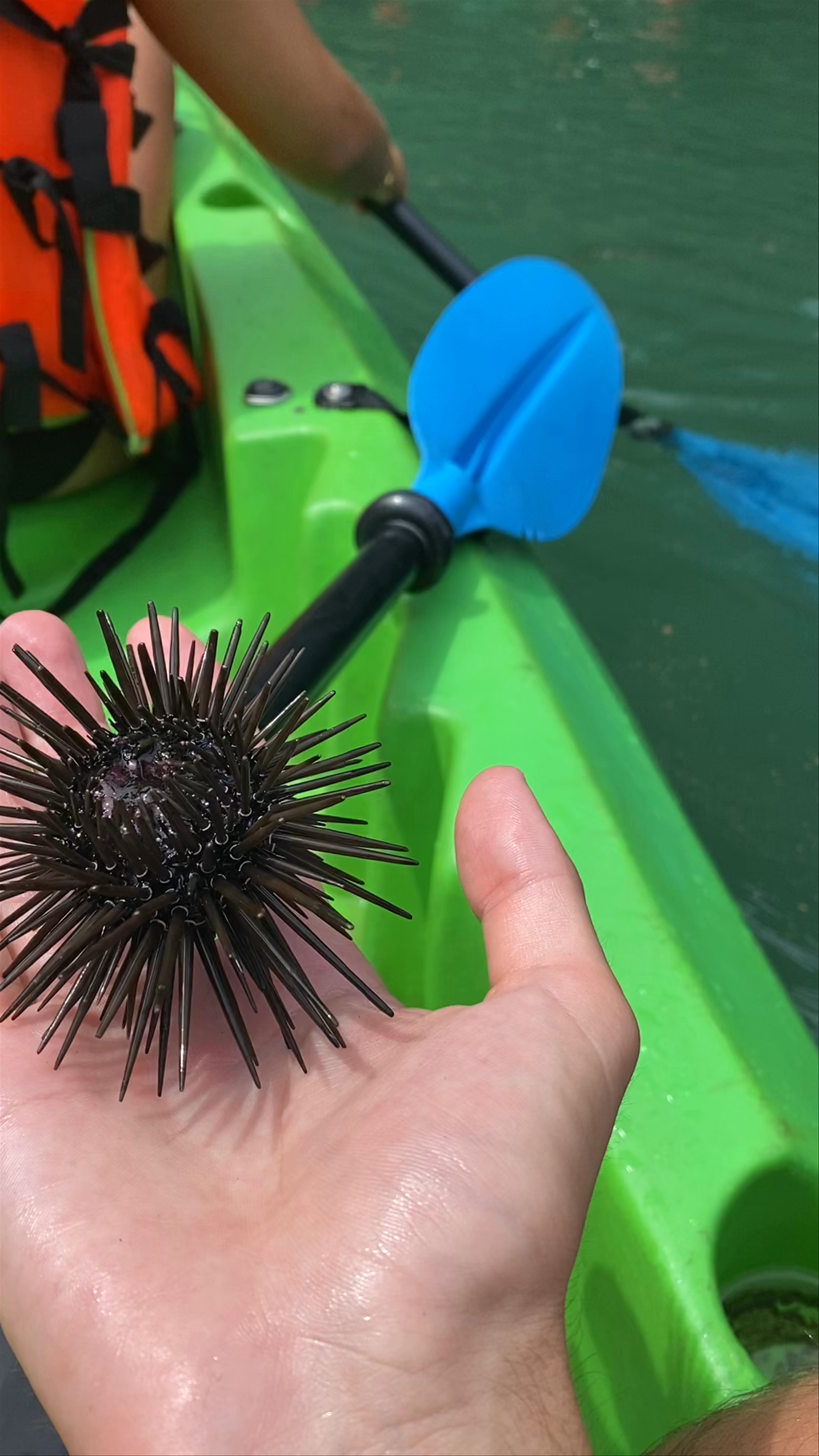 Kayaking Adventure and Sea Urchin Discovery in Halong Bay, Vietnam