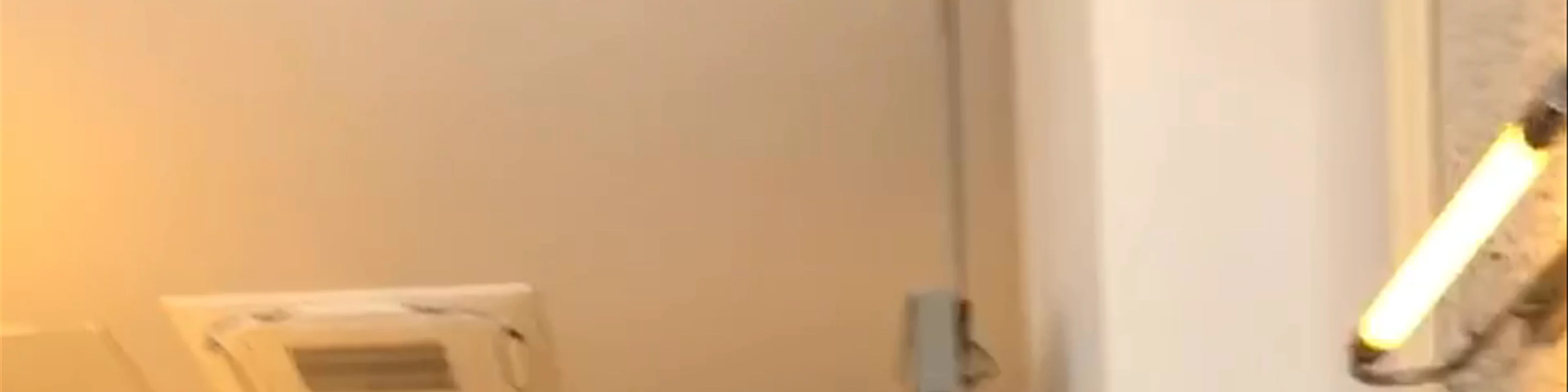 Burgermeister