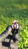 Small image 4
