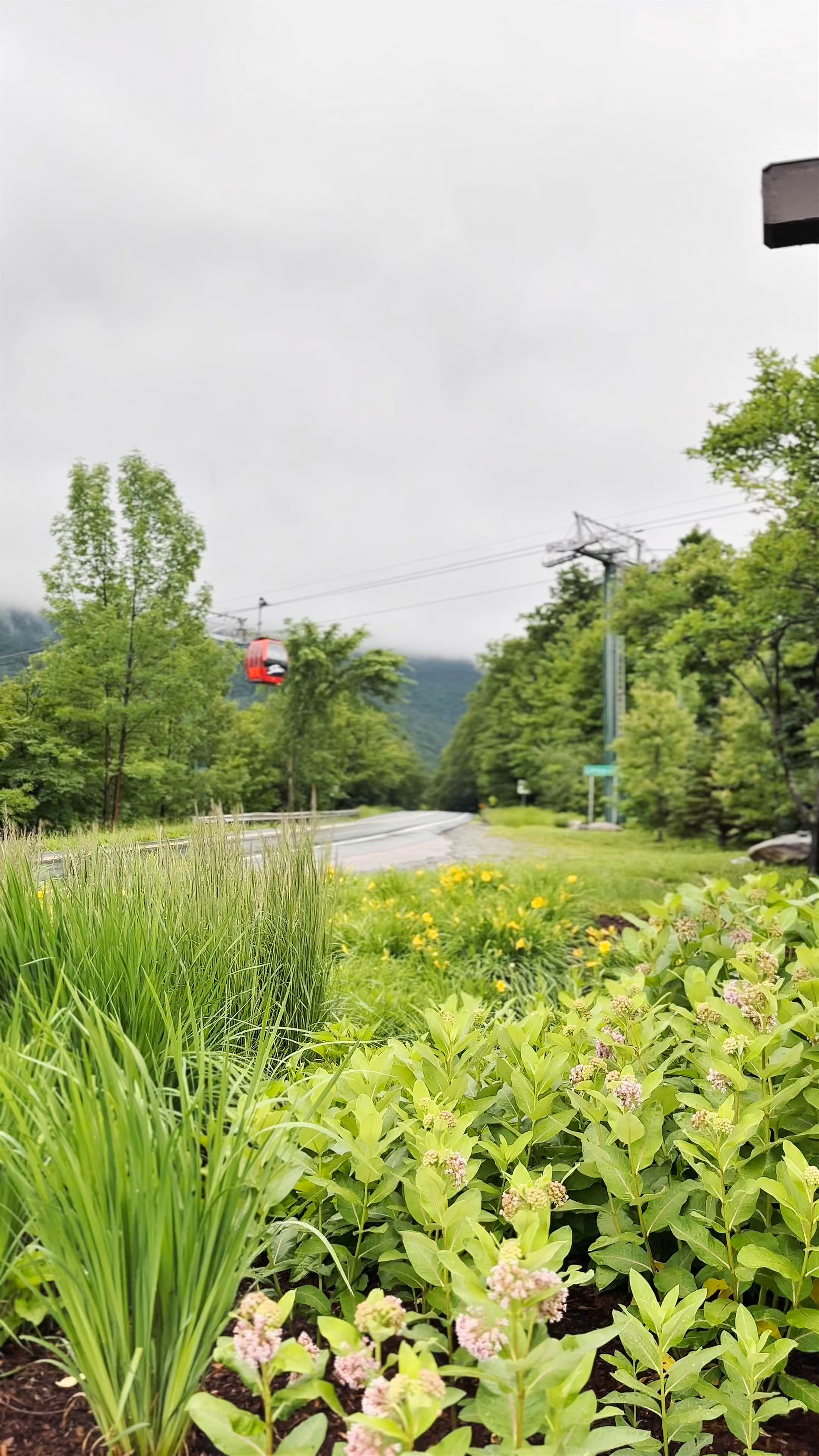 Stowe Mountain Resort