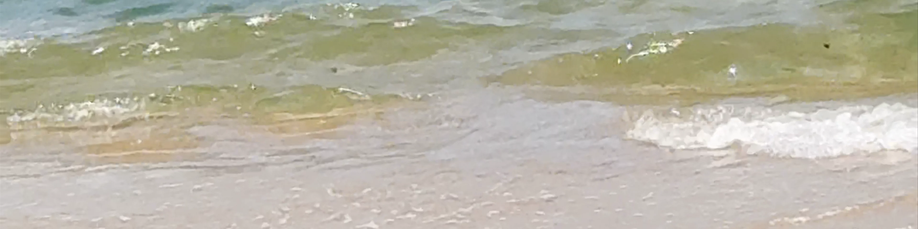 Palm Cove Beach