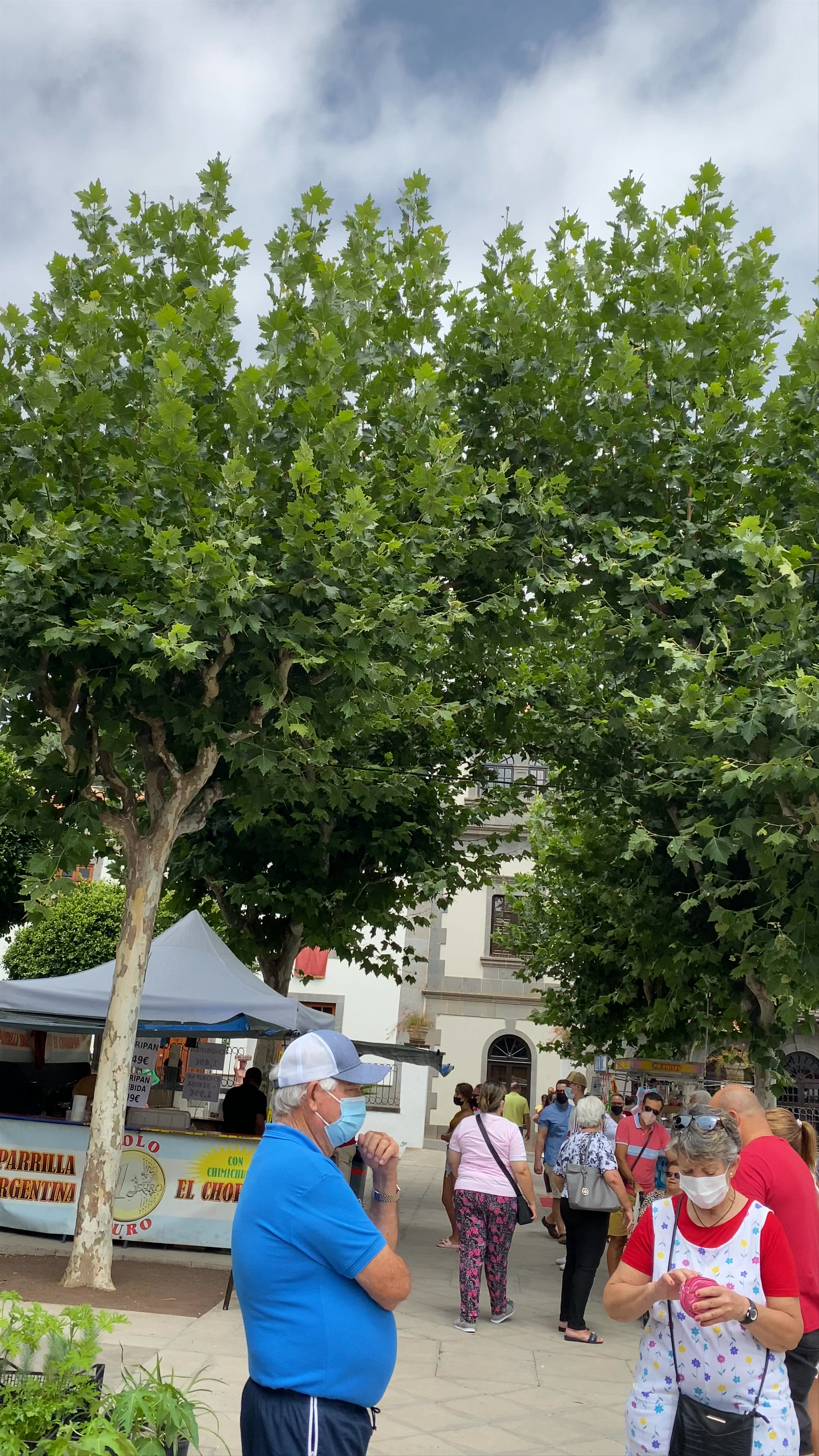 Plaza de la Alameda Market Day in Teror, Canary Islands, Spain