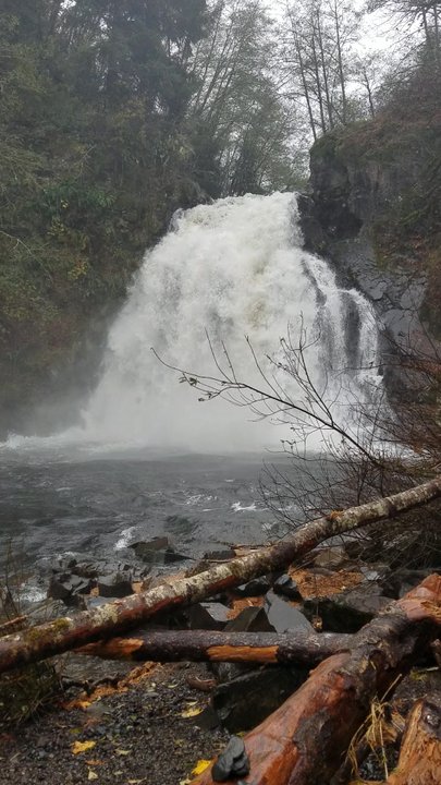 Youngs River Falls - Local Flavor Near Me