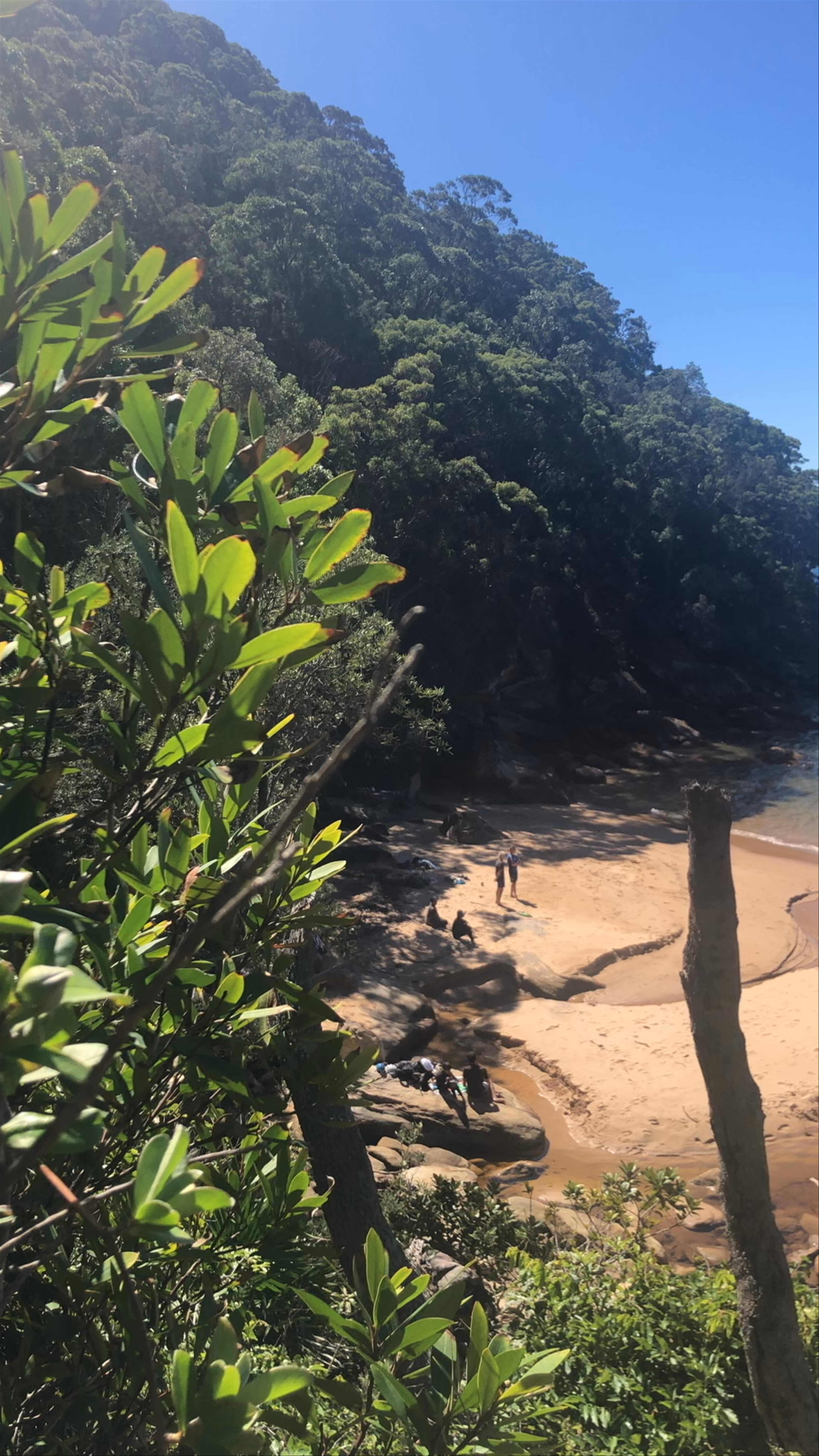 Mackeral Track