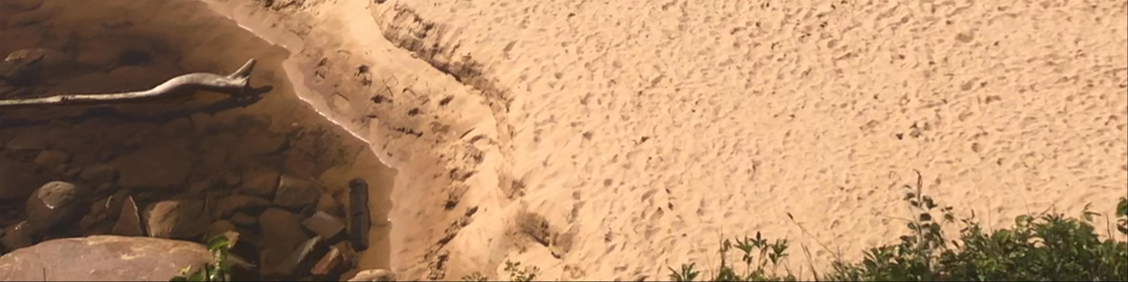 Mackeral Track