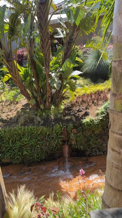 Poca da Beija - Swimming Pools Near Me - Furnas, 20