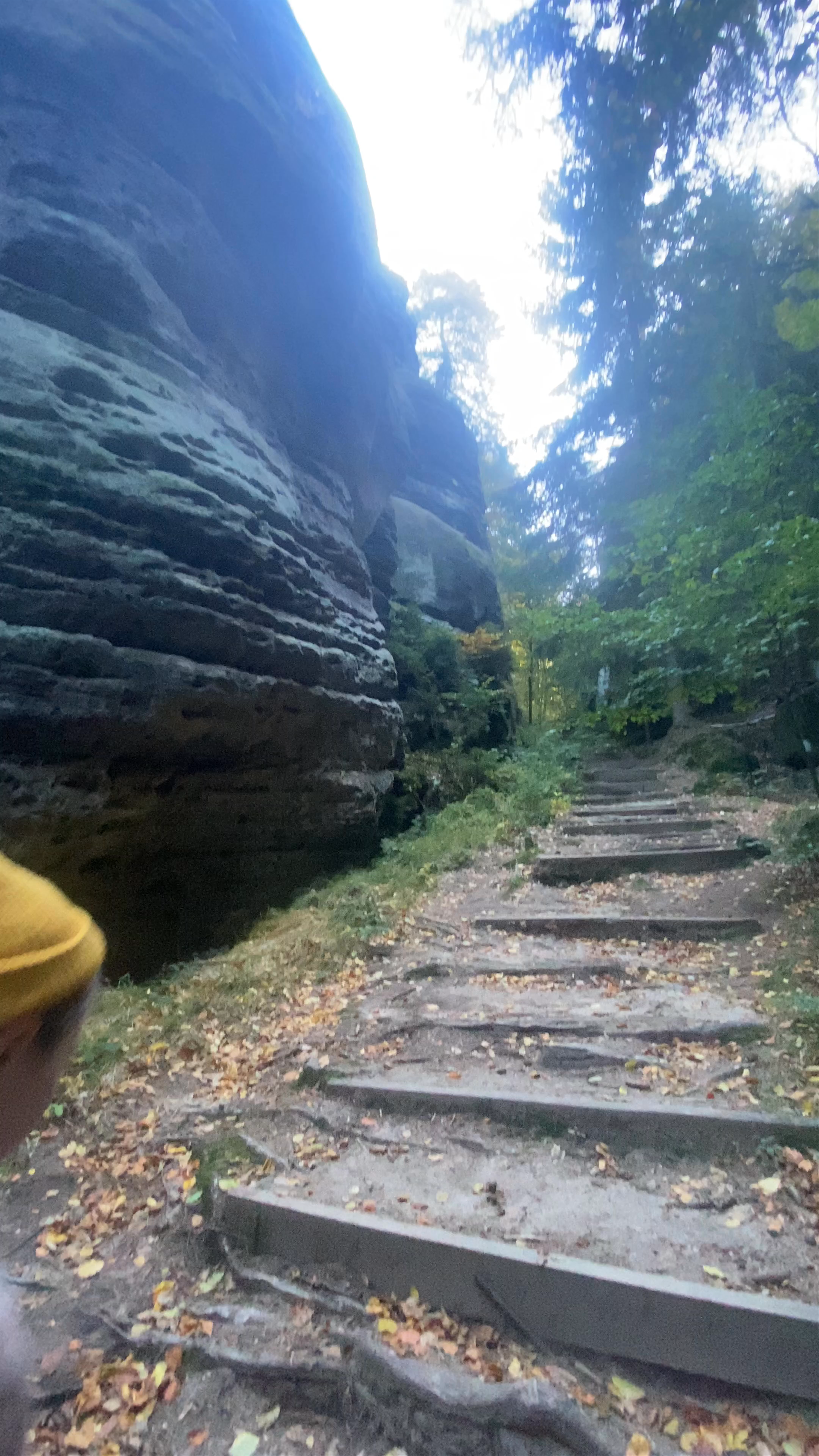 Elbleitenweg - Wurzelweg