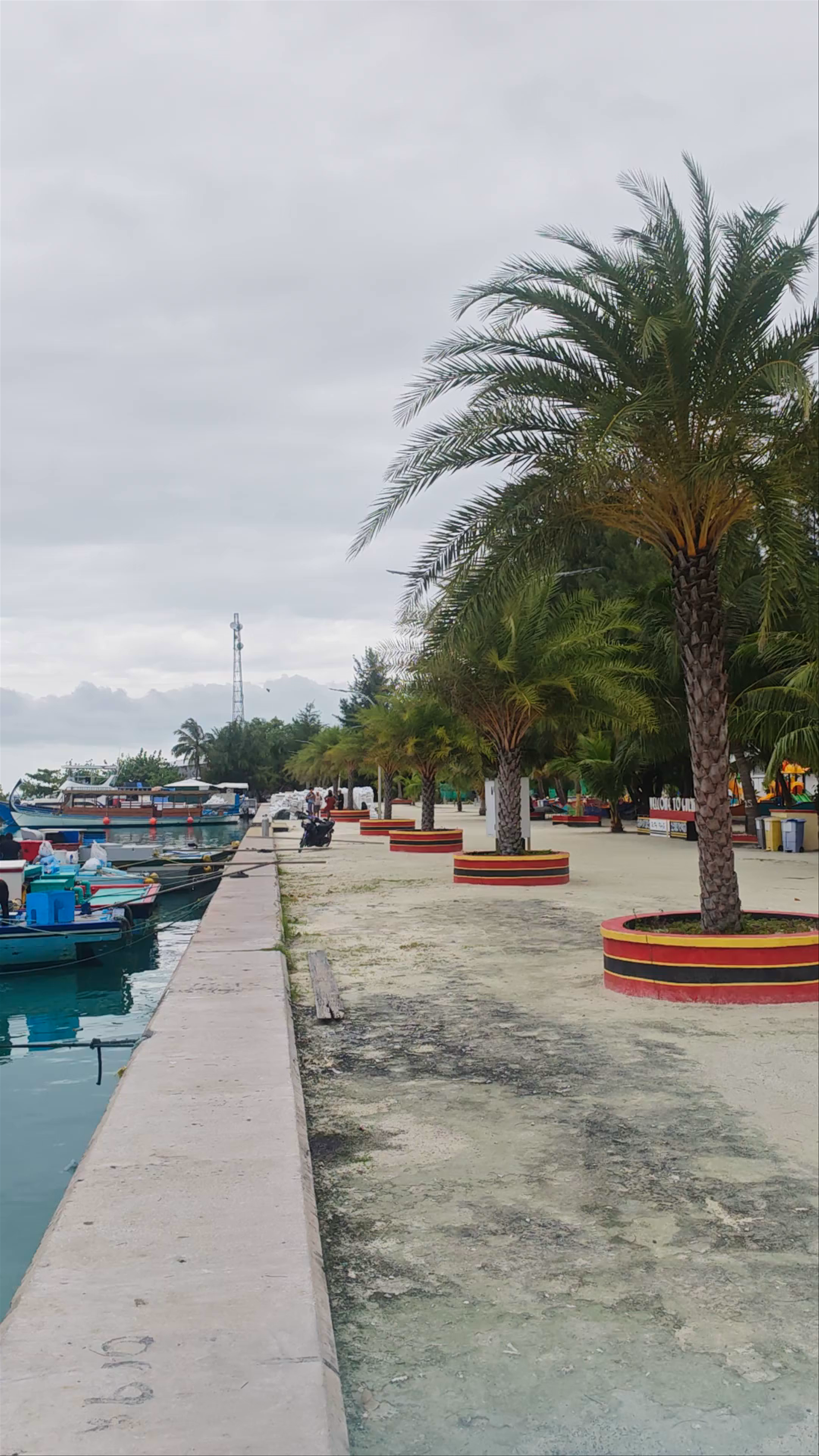 Gulhi Harbor Serenity: Maldives Coastal Harbor Stroll