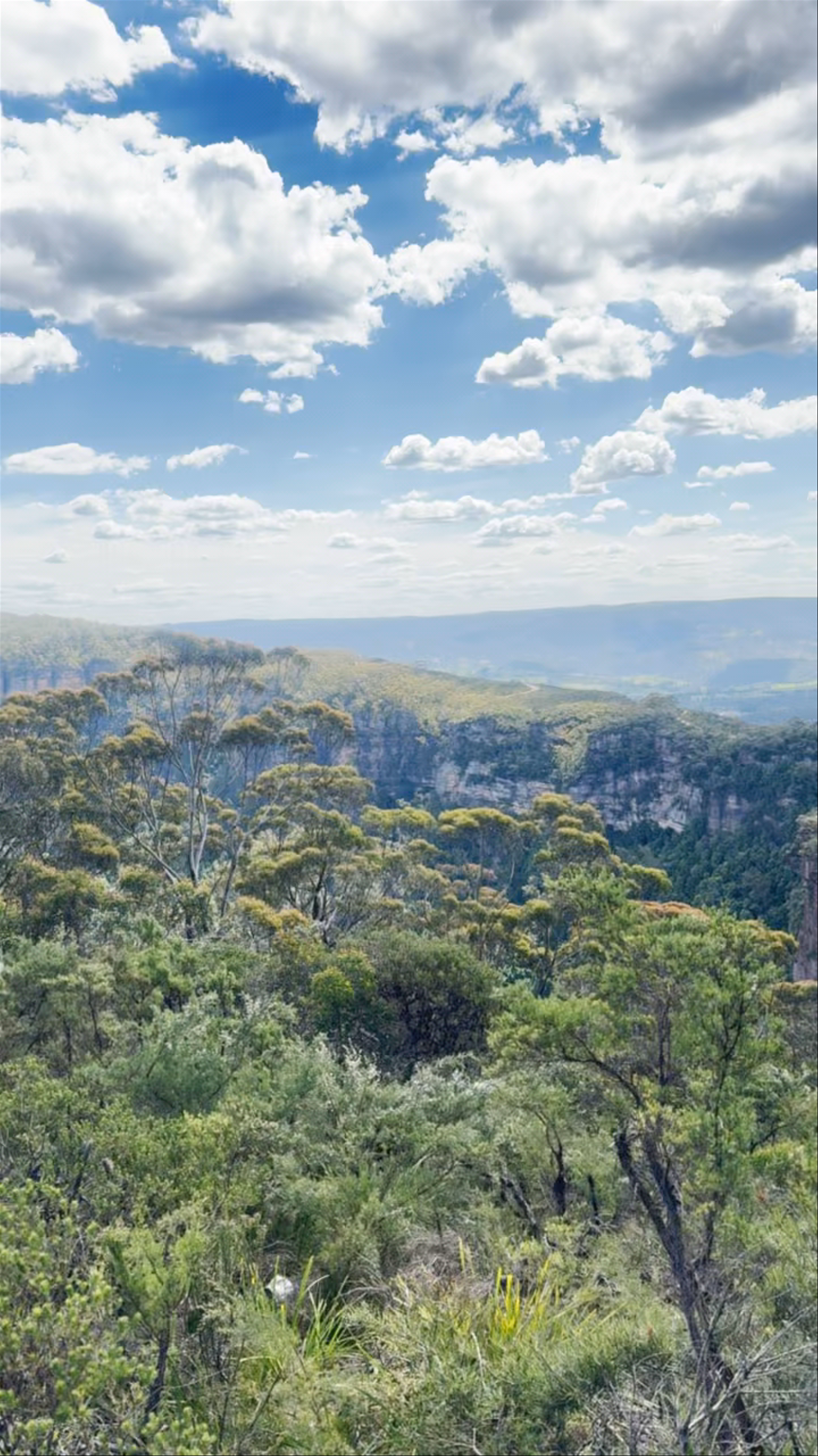 Hildas Lookout